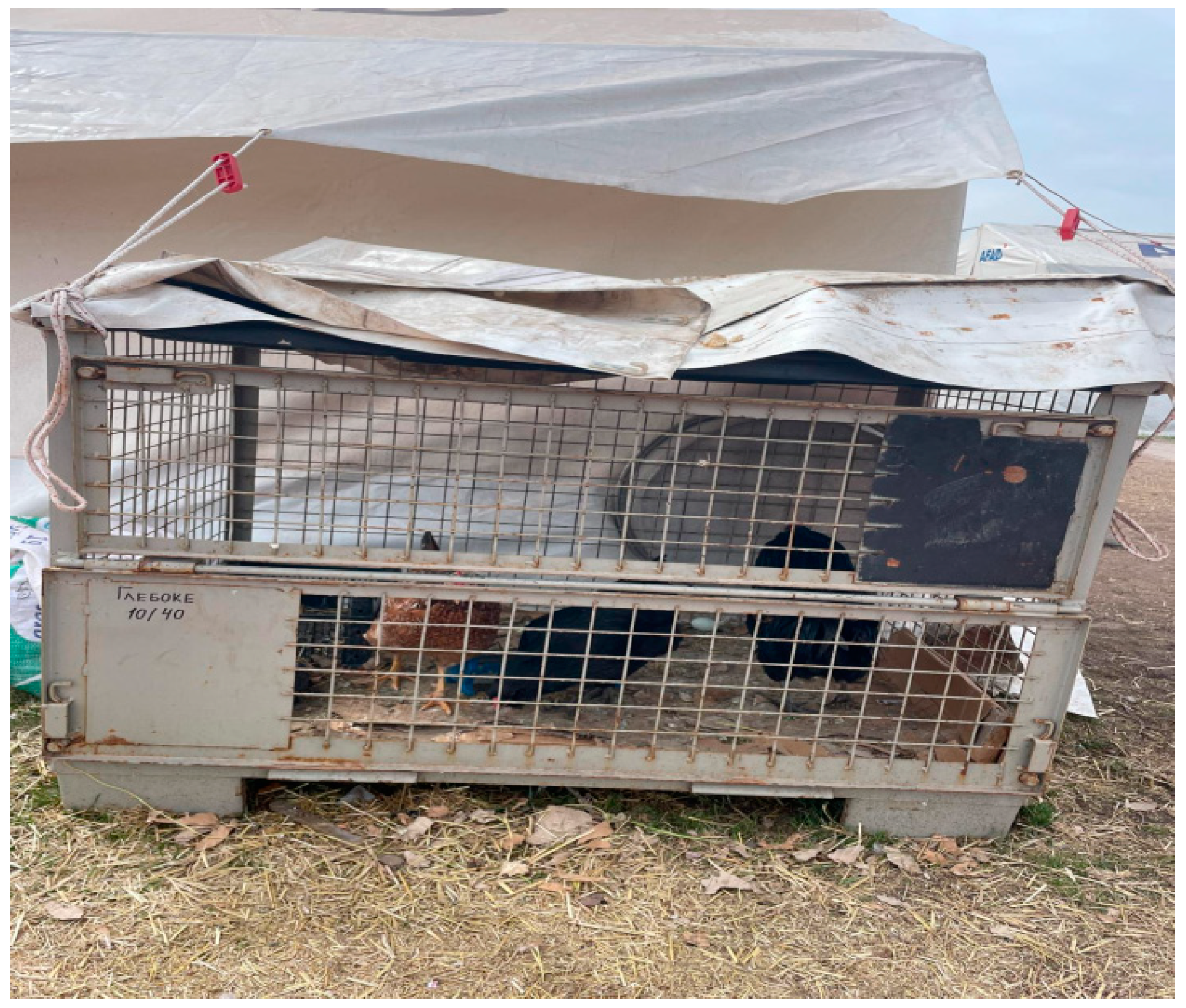 Sustainability 17 03587 g011