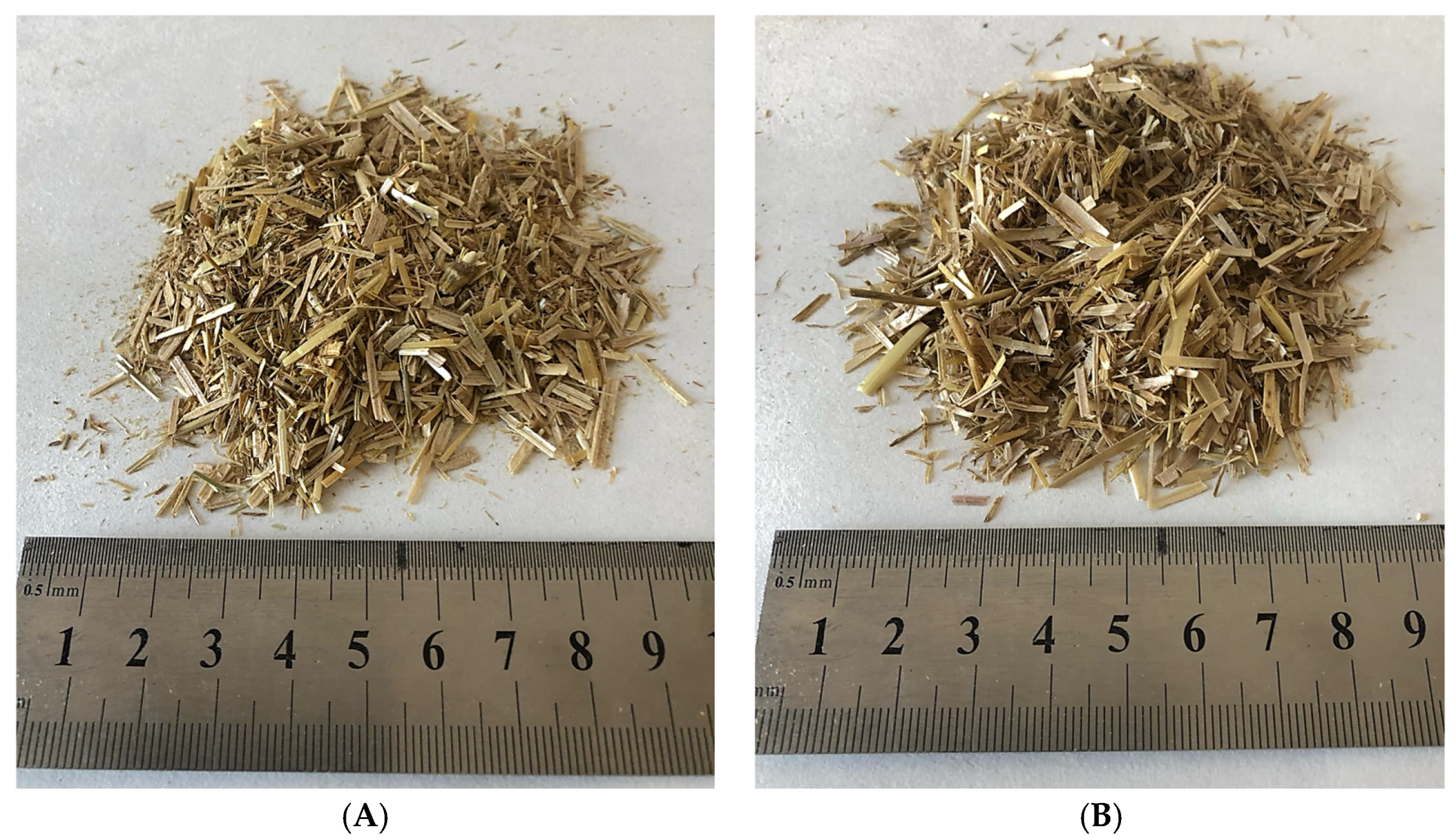 Sustainability 17 03589 g002a Sustainability 17 03589 g002a