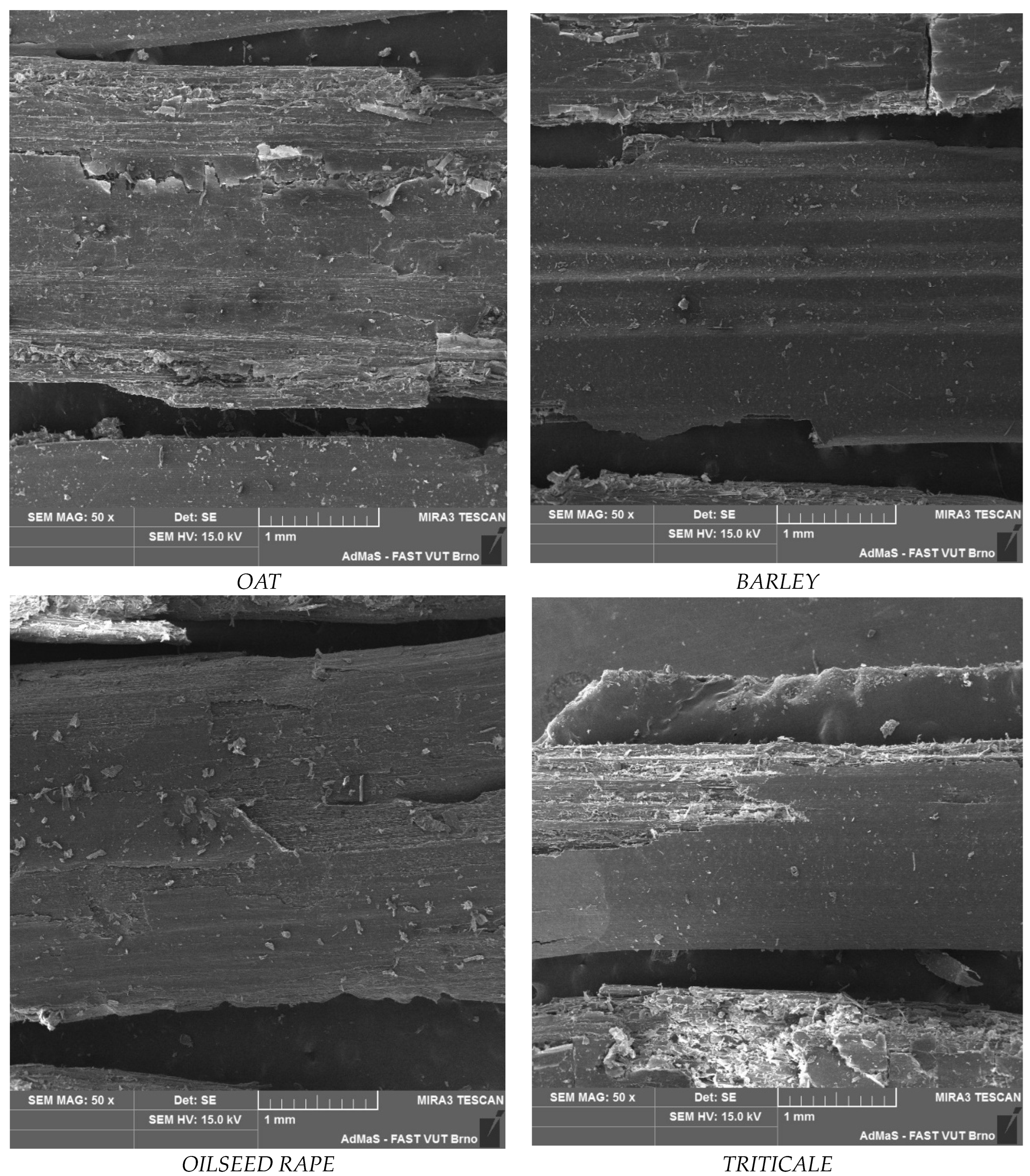 Sustainability 17 03589 g003 Sustainability 17 03589 g003