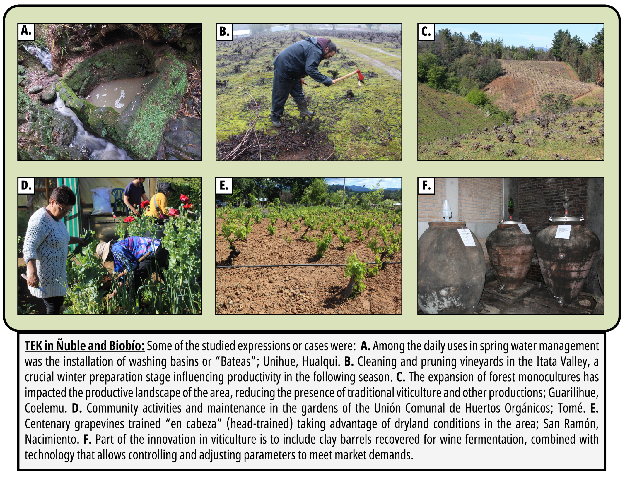 Sustainability 17 03653 g005