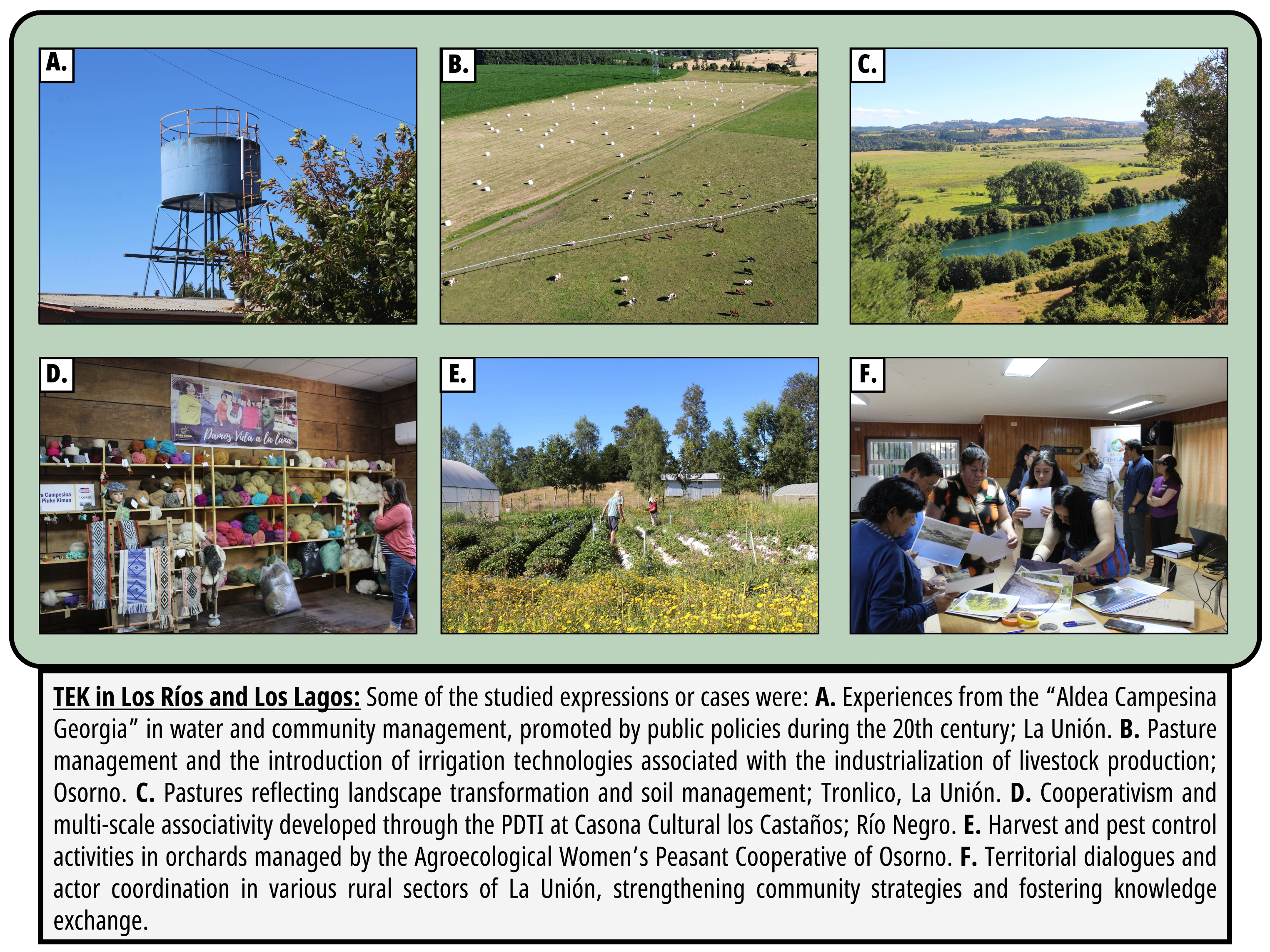 Sustainability 17 03653 g006