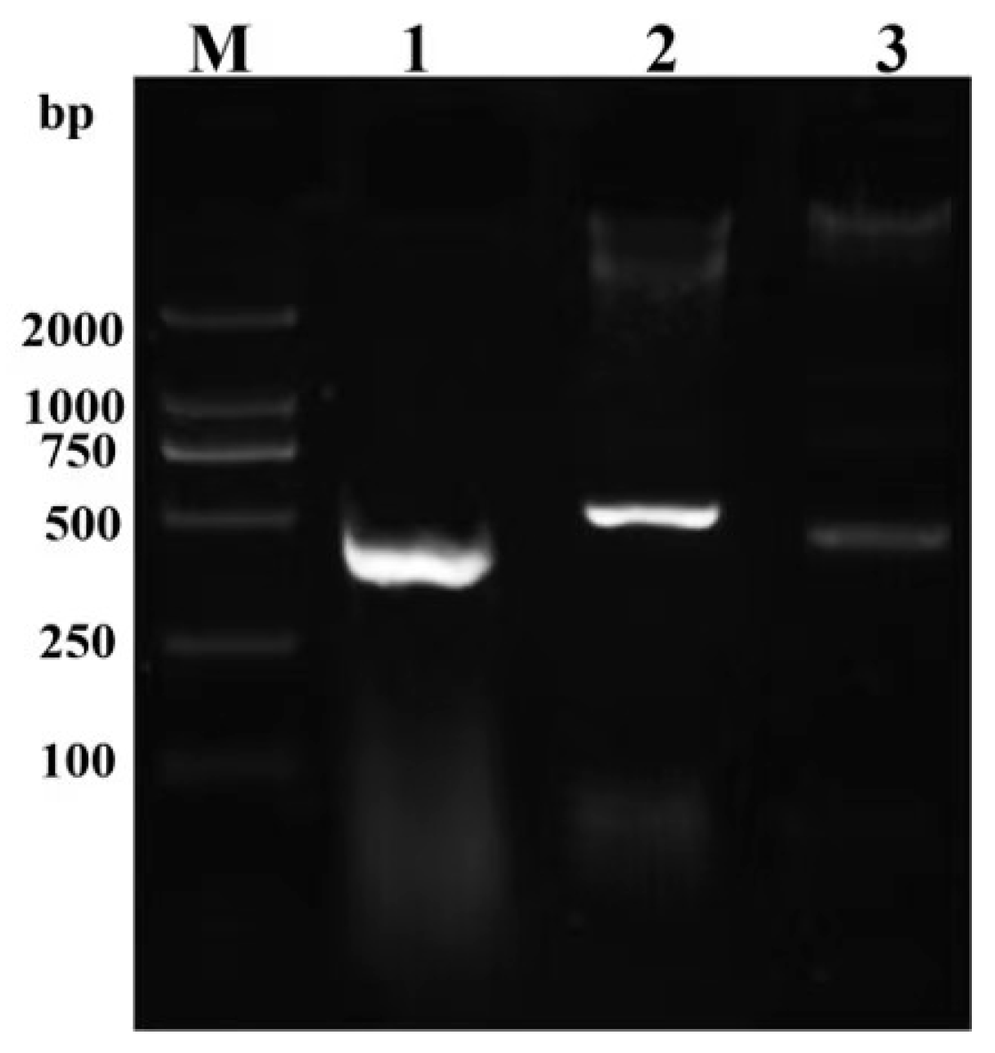 Sustainability 17 03721 g003