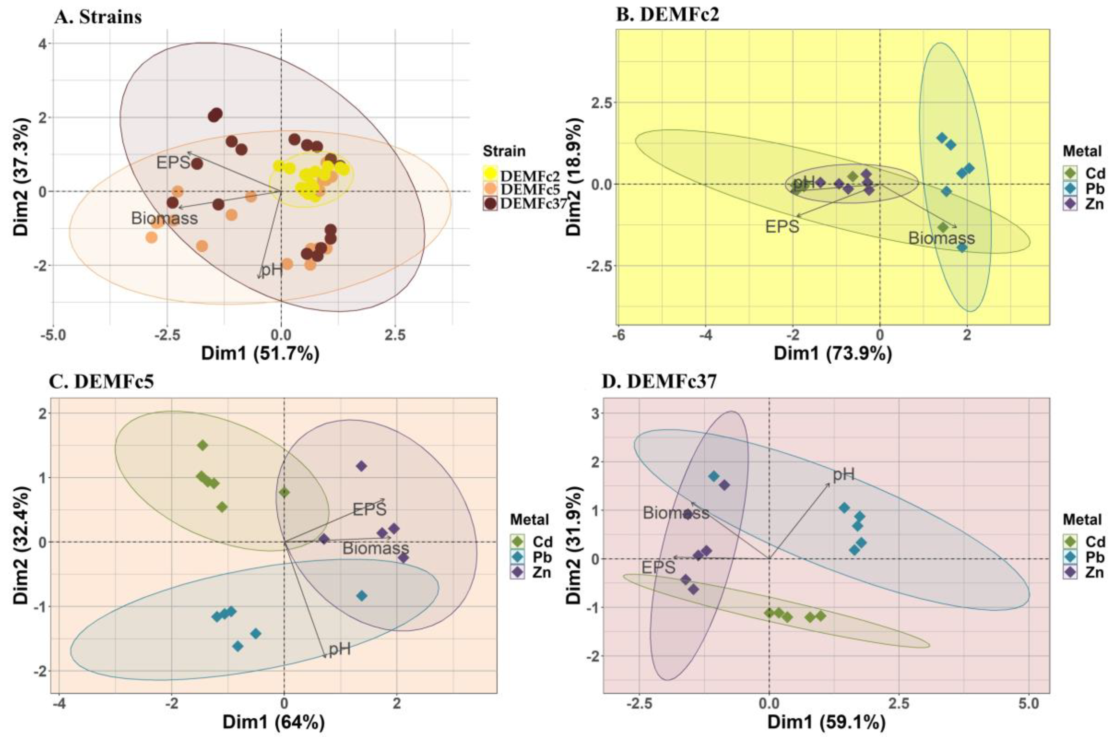 Sustainability 17 03744 g006