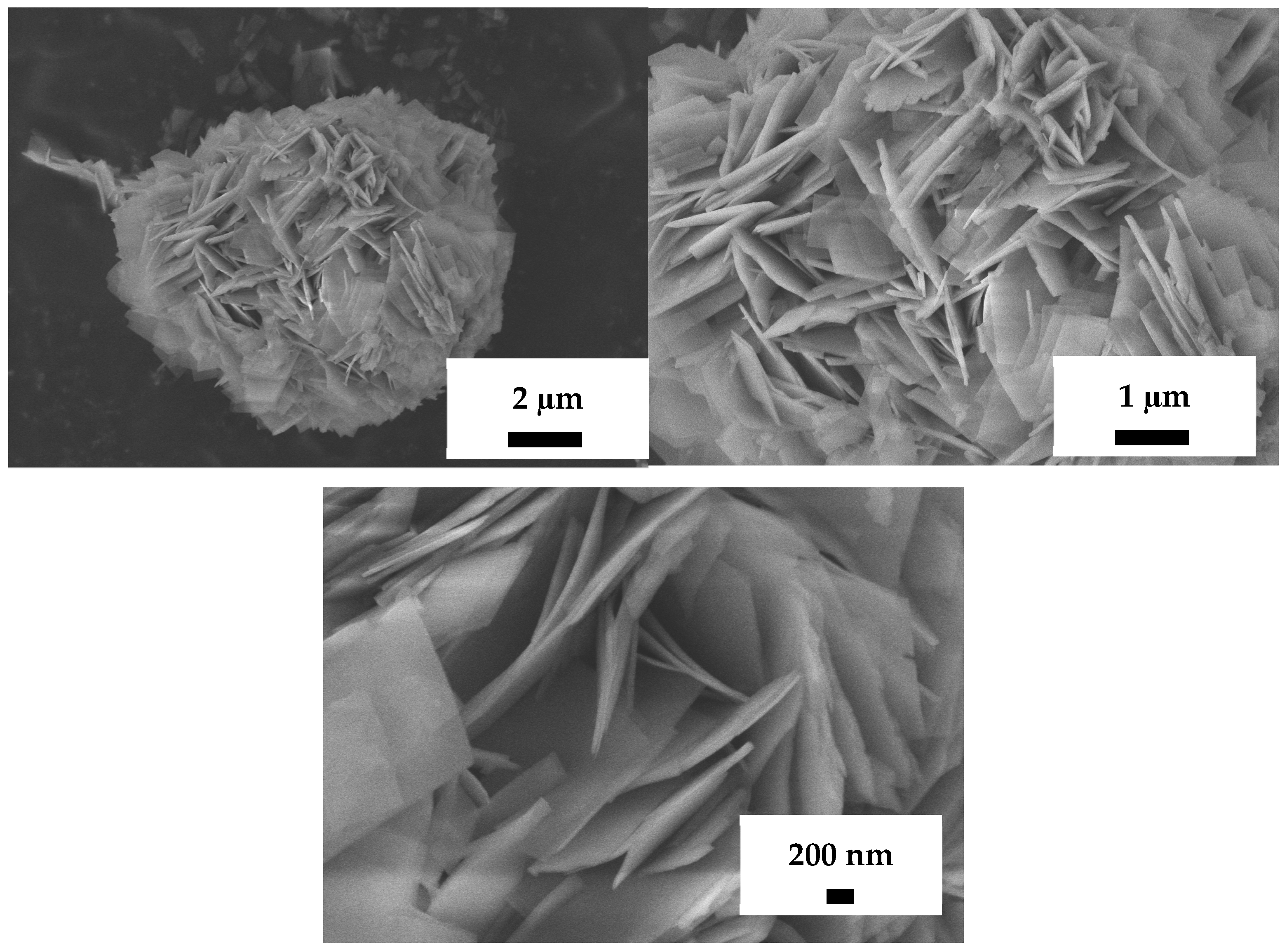 Sustainability 17 03801 g002