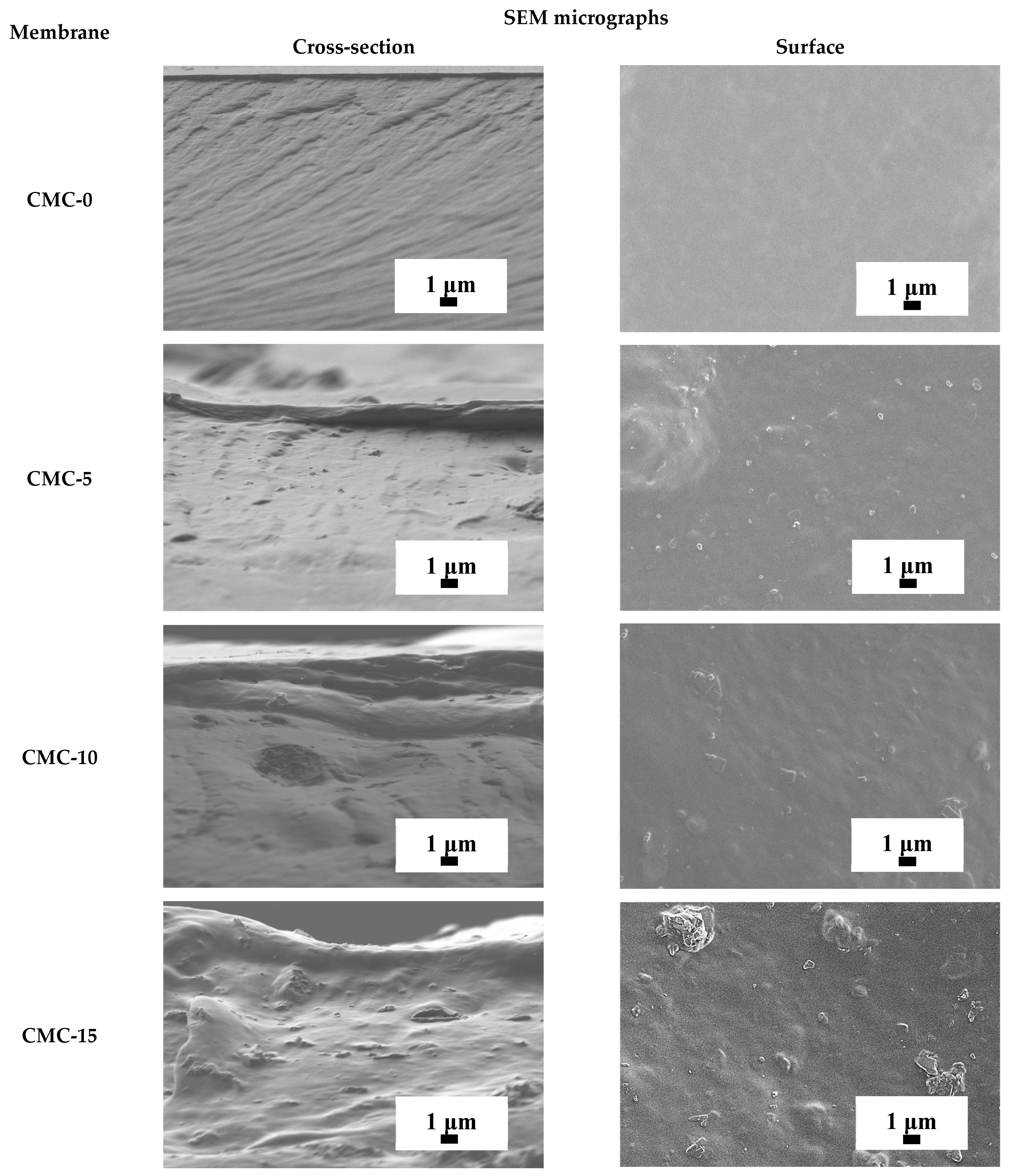 Sustainability 17 03801 g007