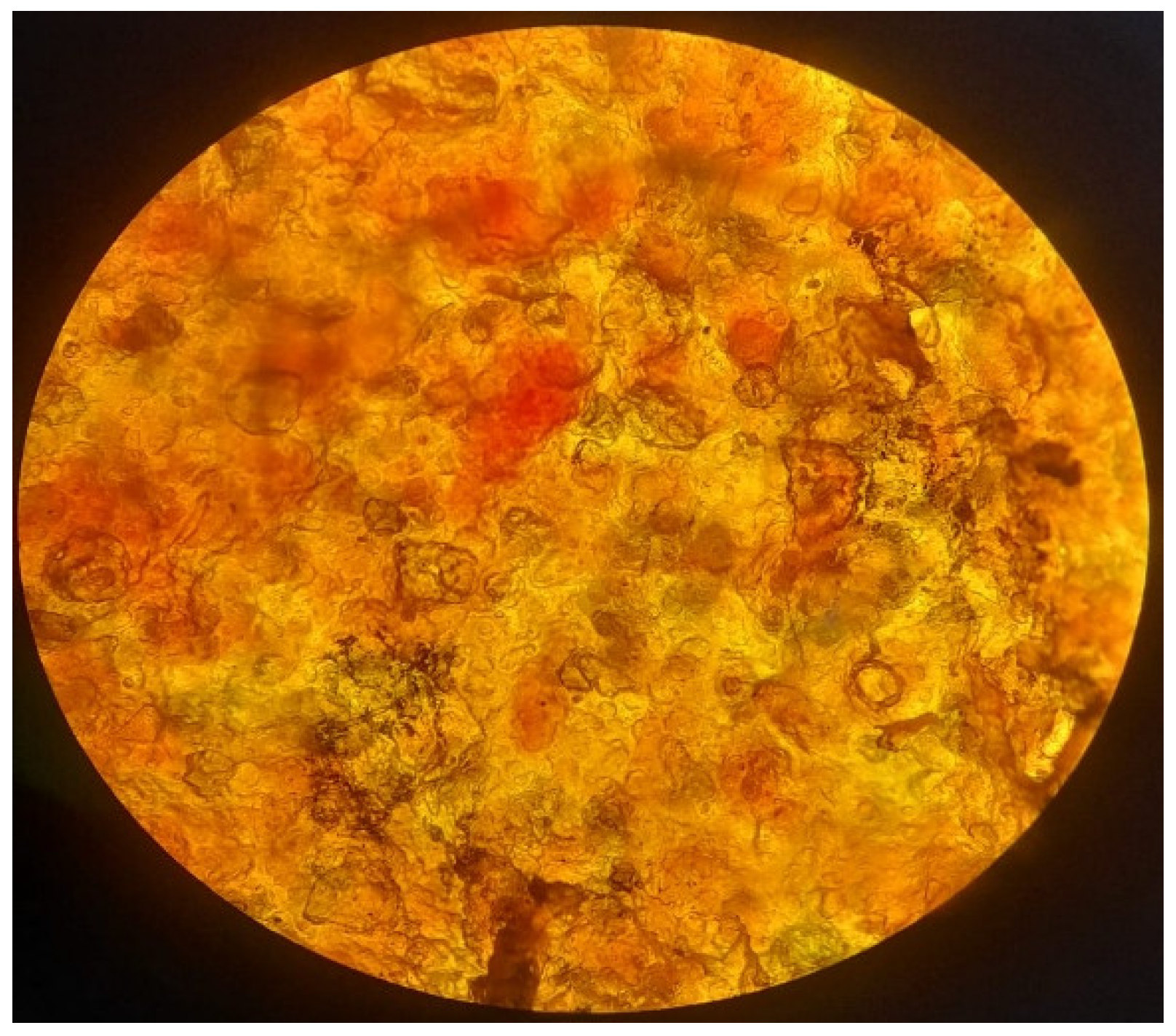 Sustainability 17 03833 g003