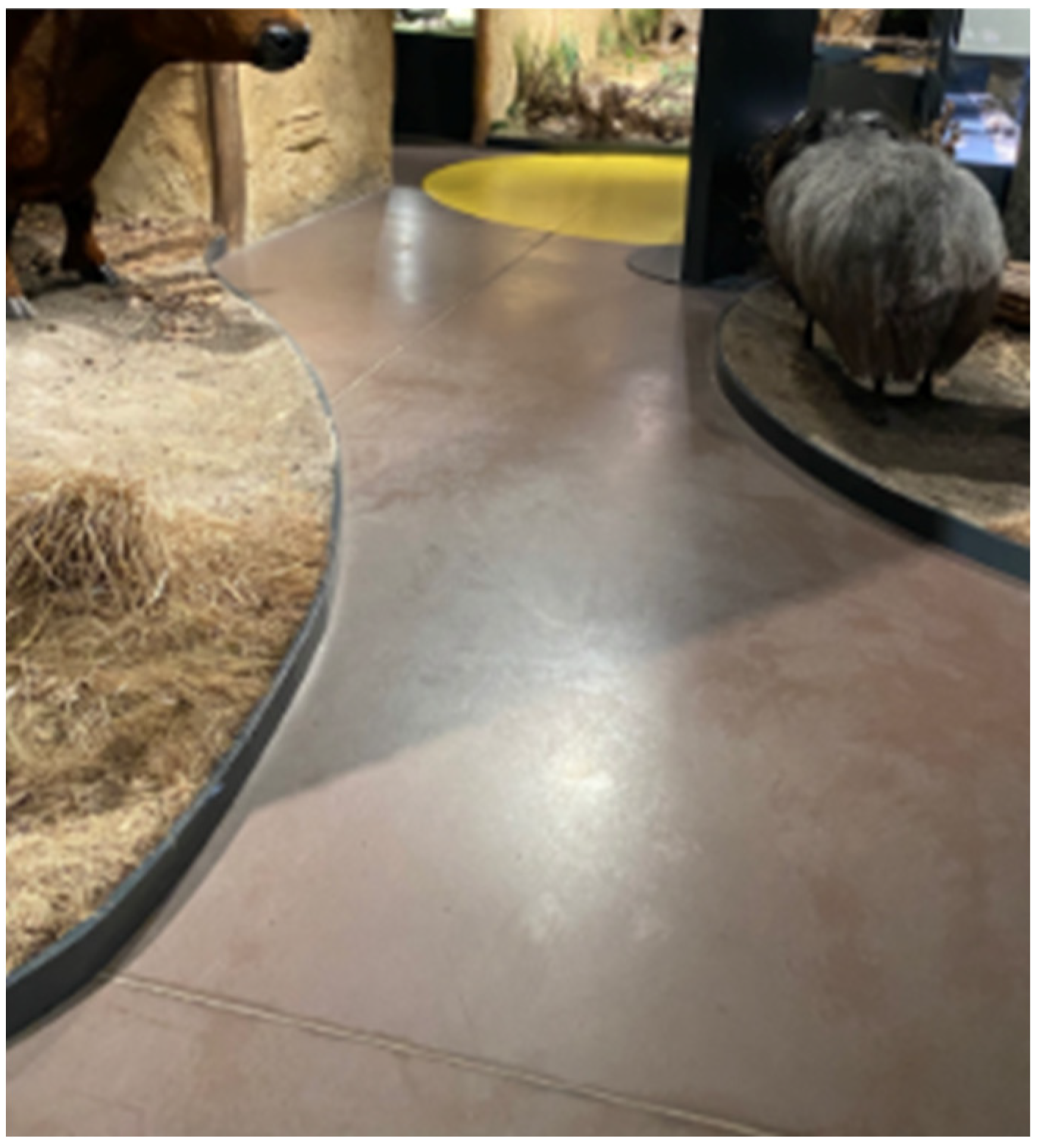 Sustainability 17 03853 sch005