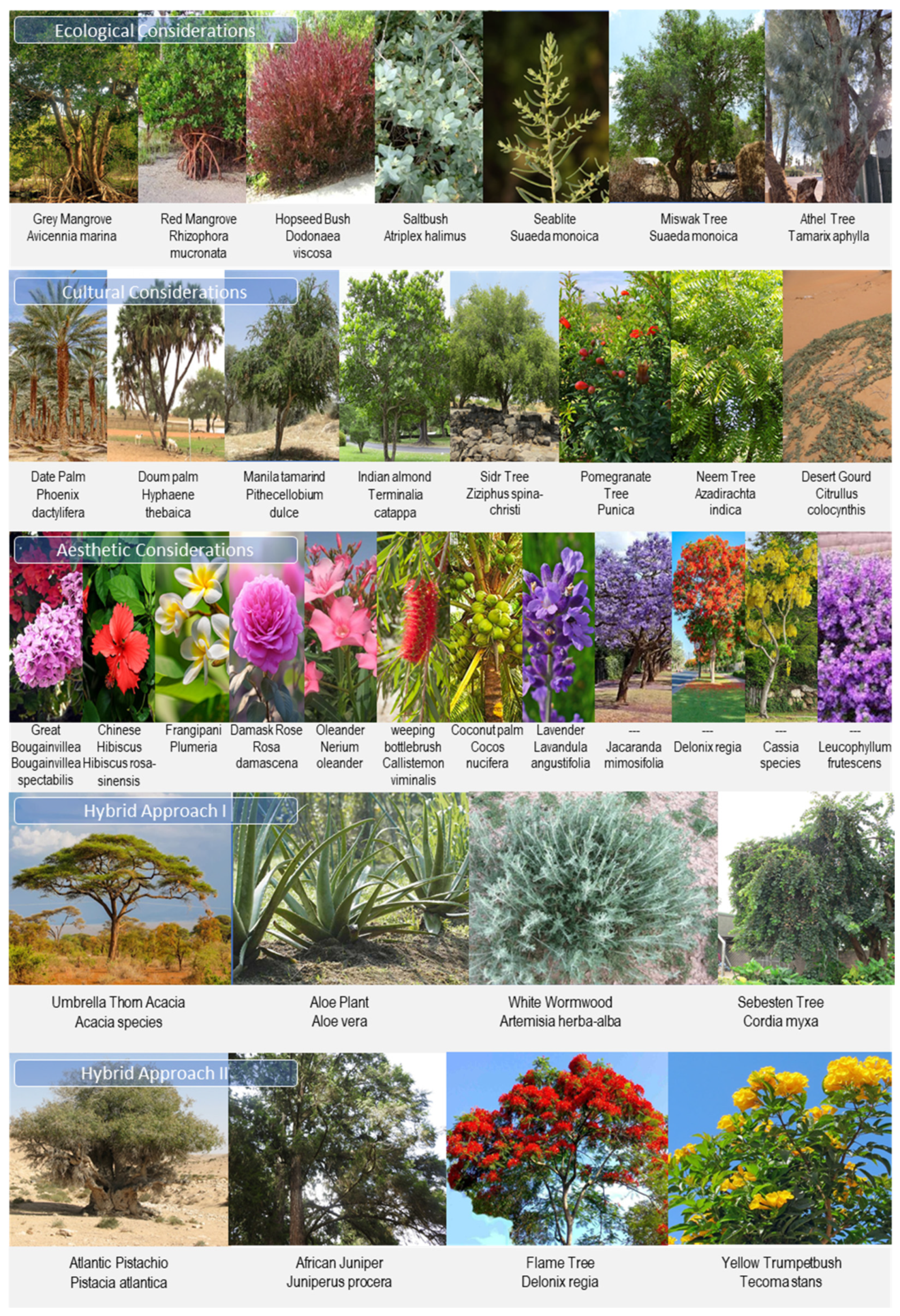 Sustainability 17 03935 g002