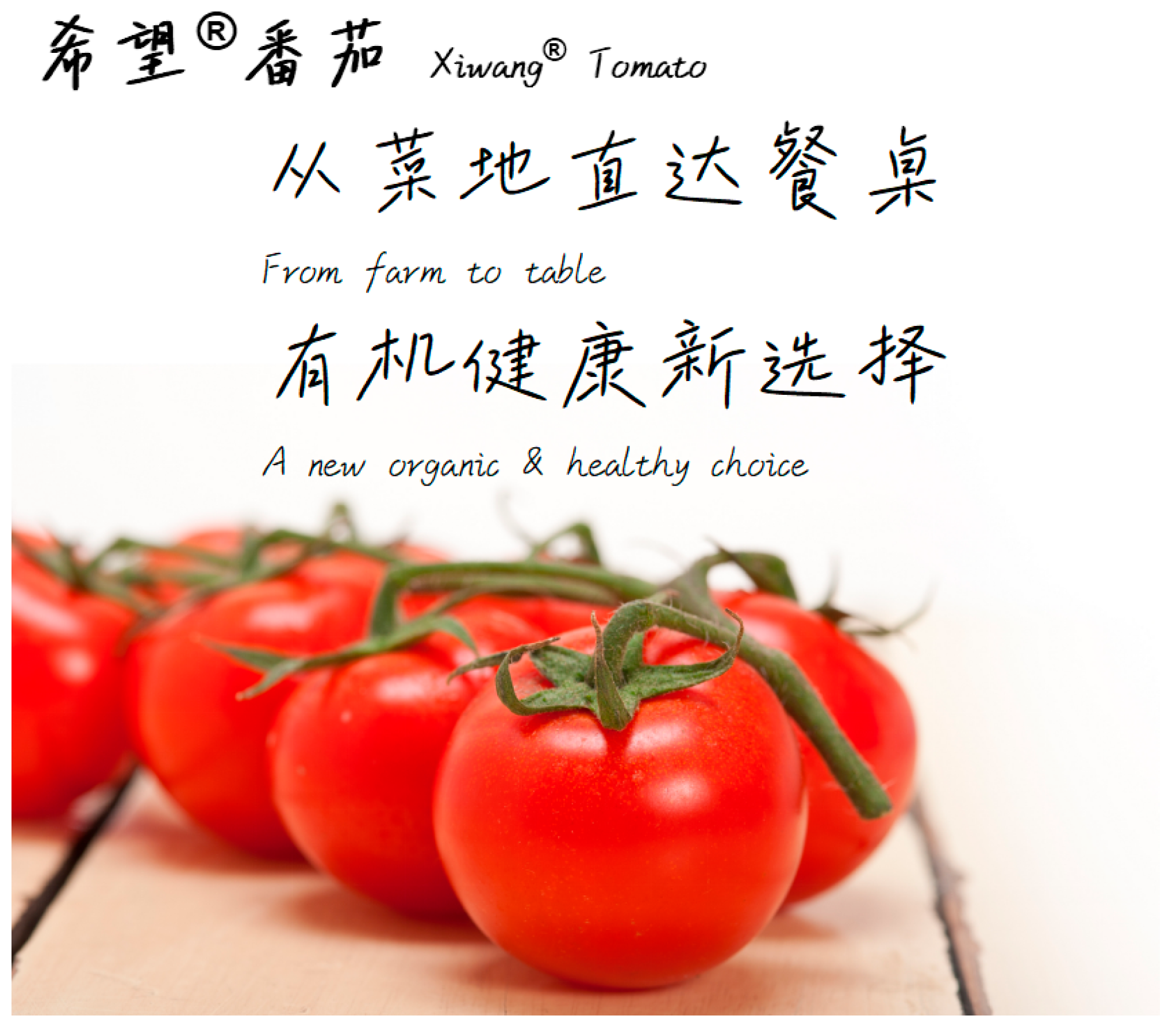 Sustainability 17 03961 g0a1