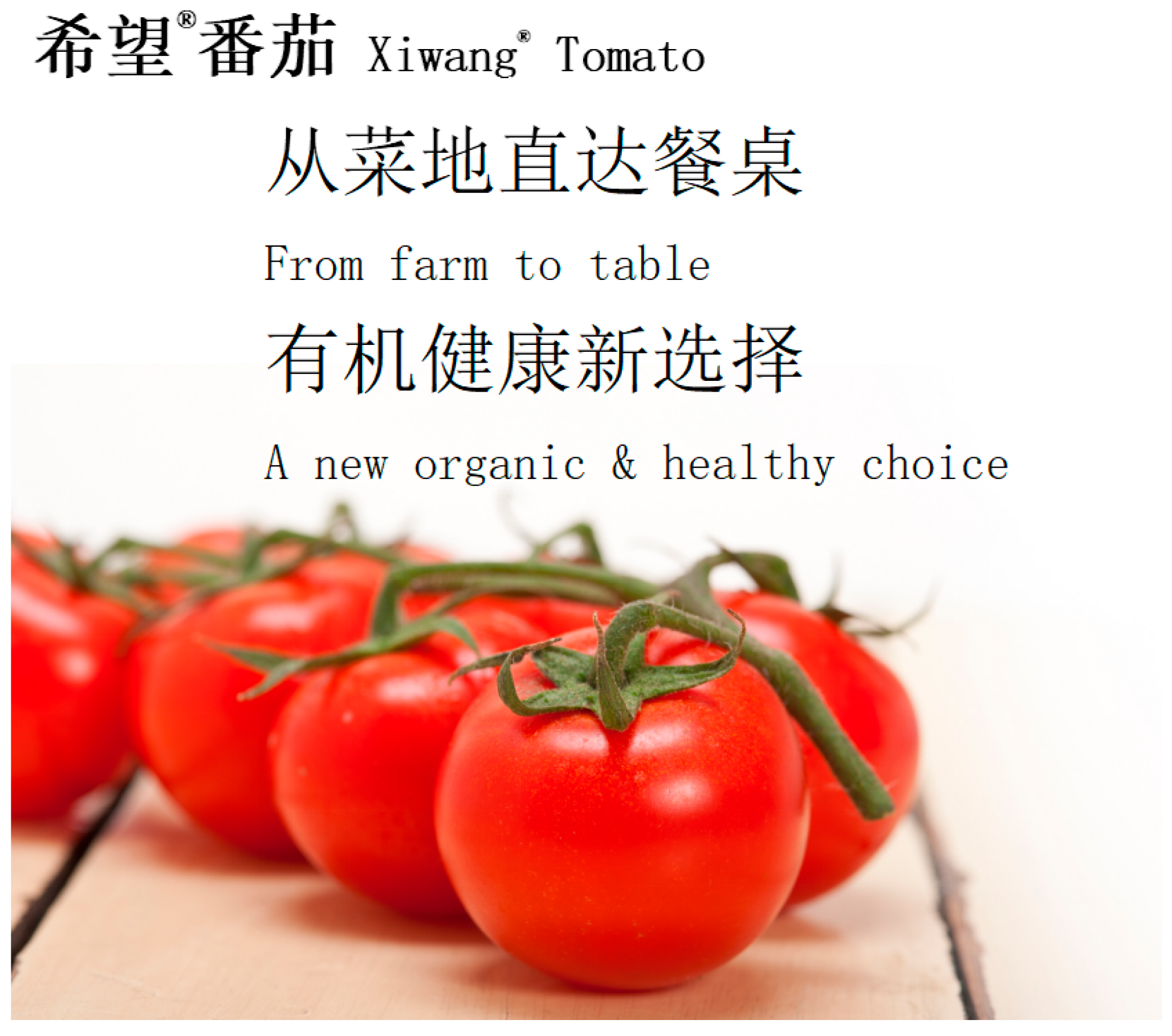 Sustainability 17 03961 g0a2