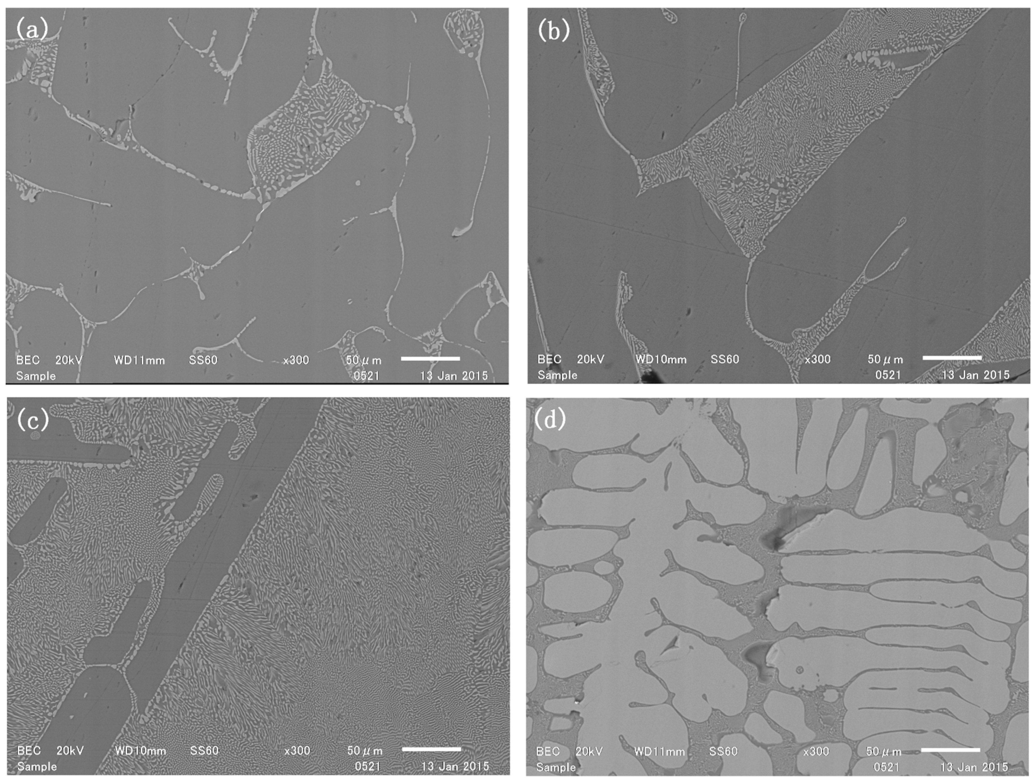 Sustainability 17 03994 g001 Sustainability 17 03994 g001