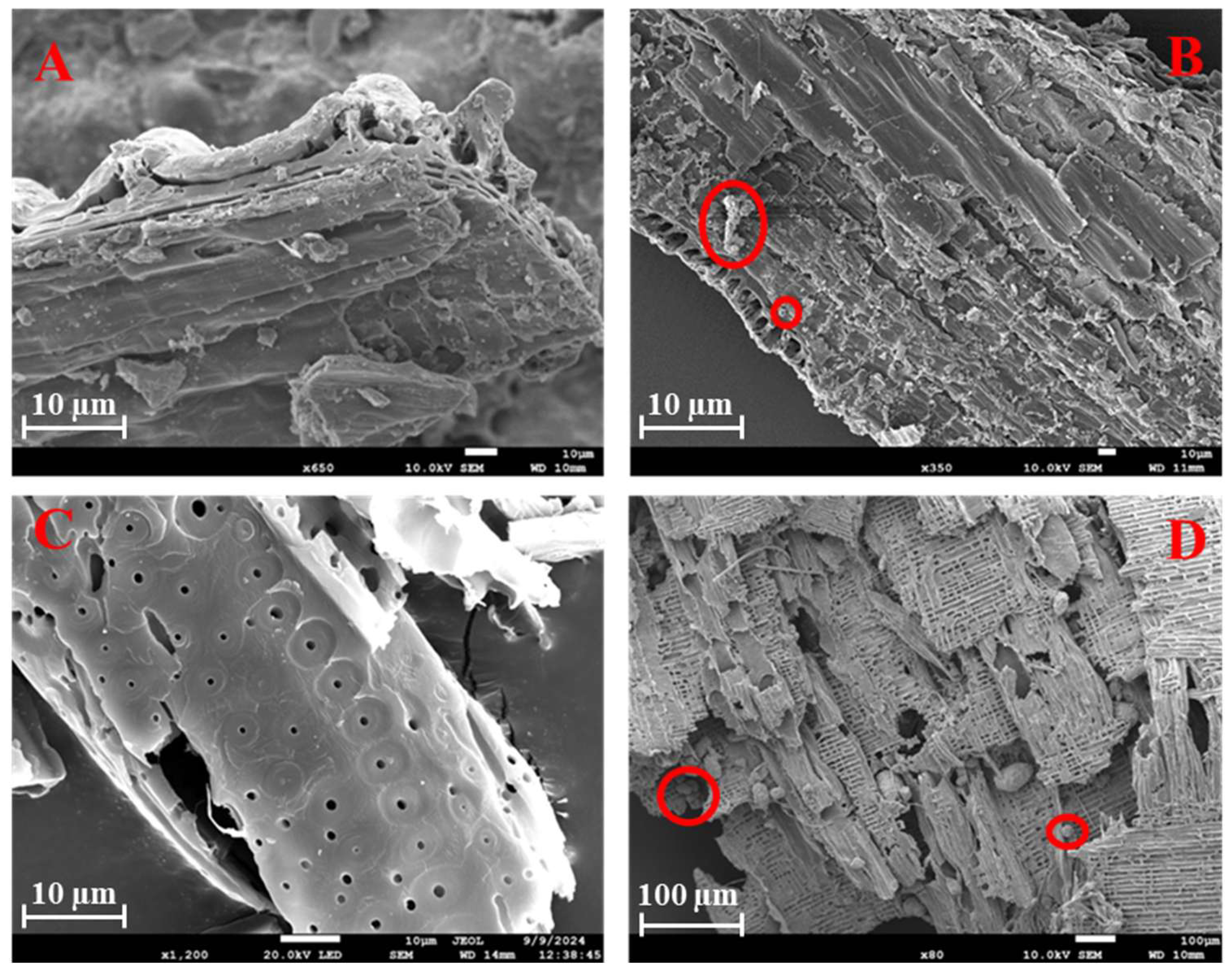 Sustainability 17 04080 g005