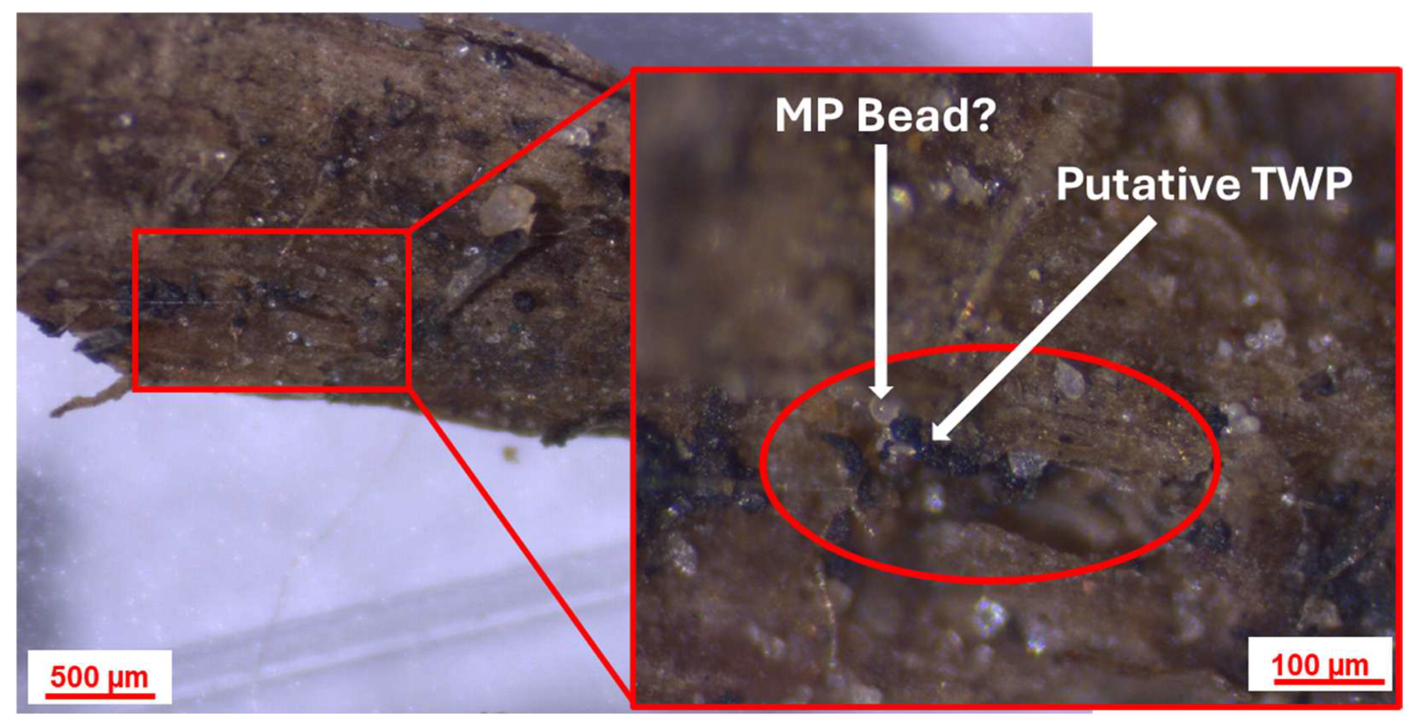 Sustainability 17 04080 g006