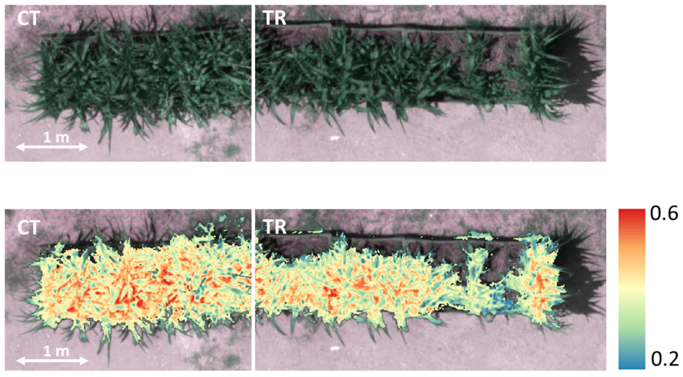 Sustainability 17 04115 g001