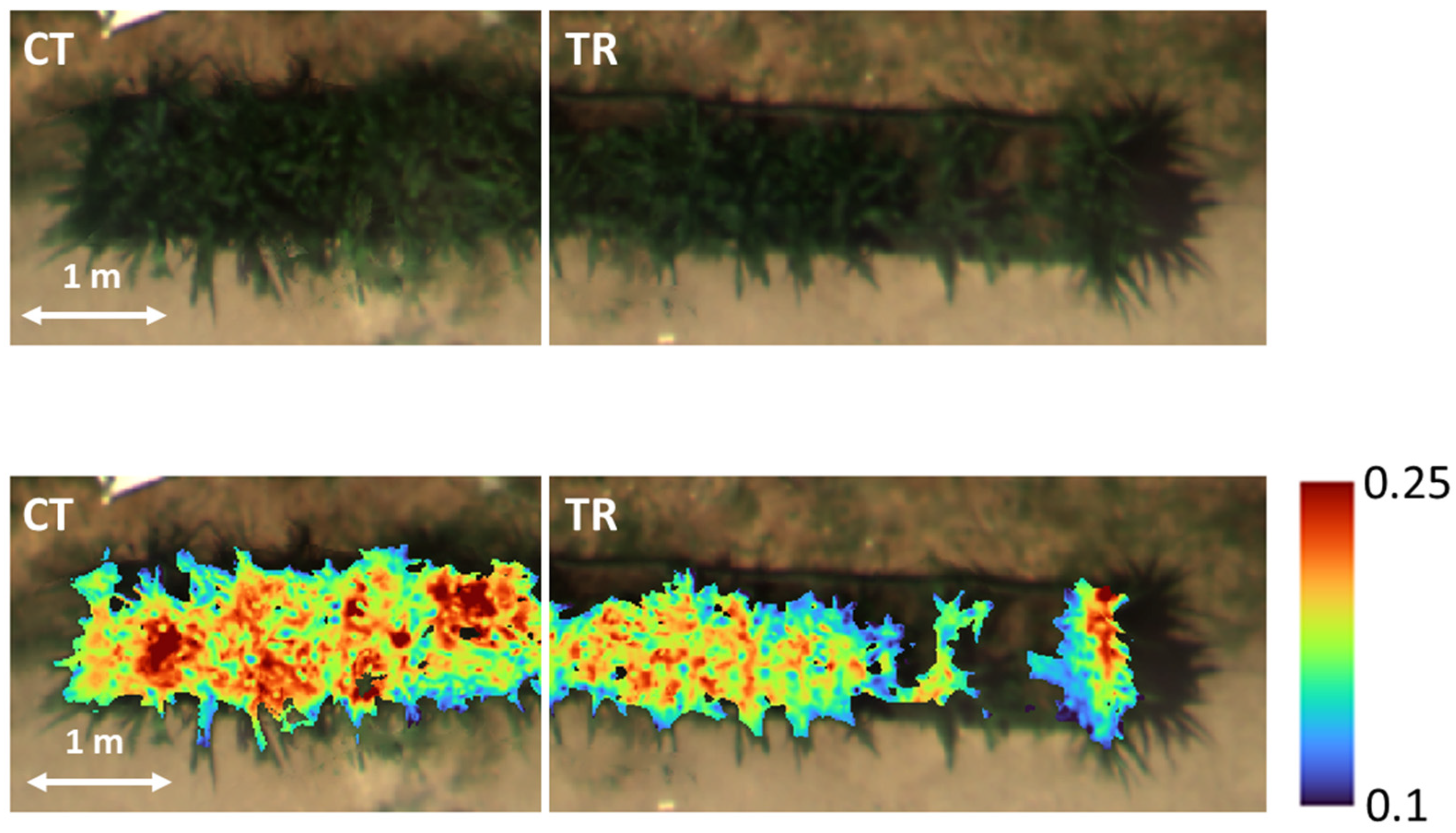 Sustainability 17 04115 g002