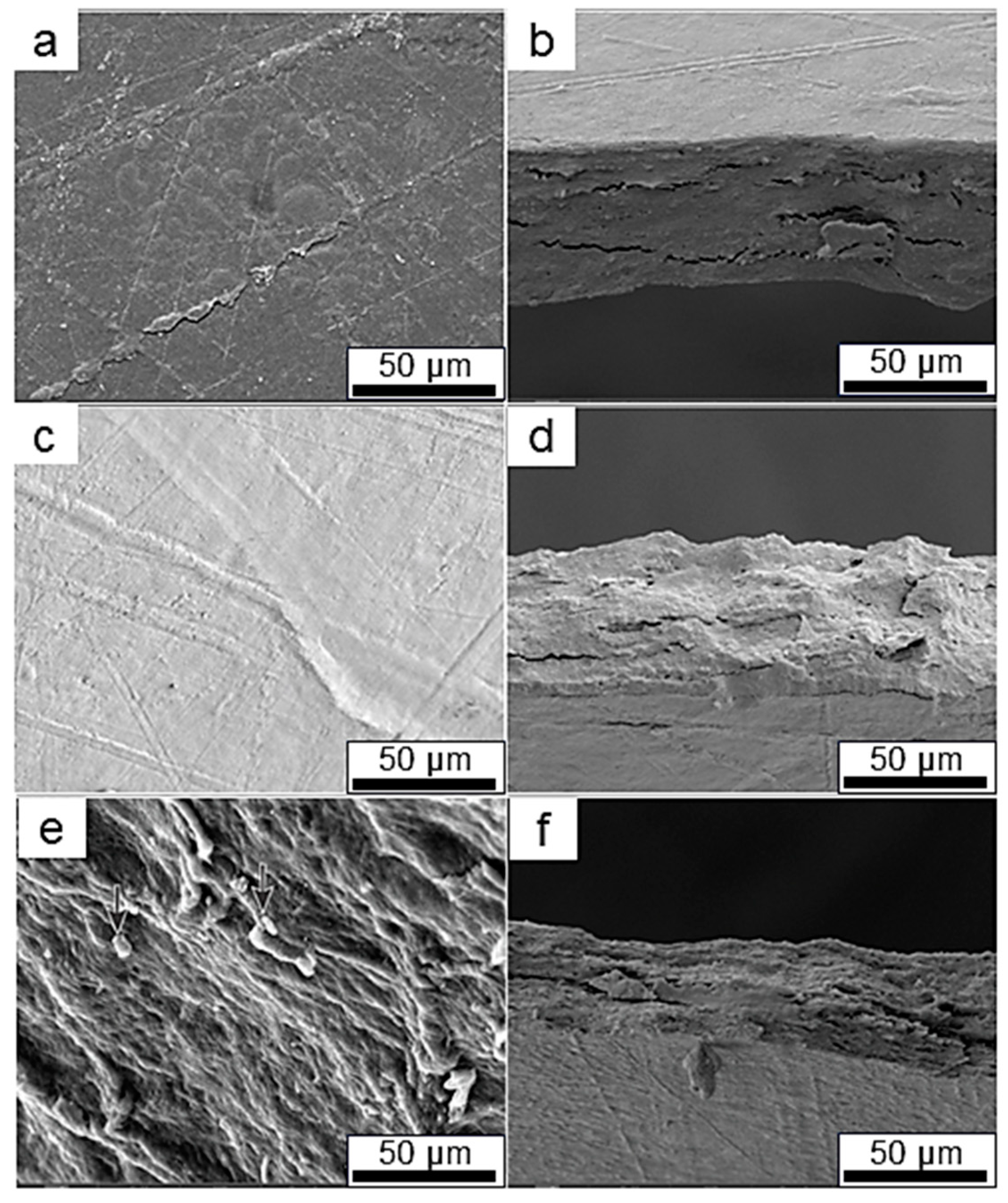 Sustainability 17 04128 g005