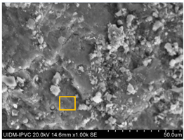 Sustainability 17 04142 i011