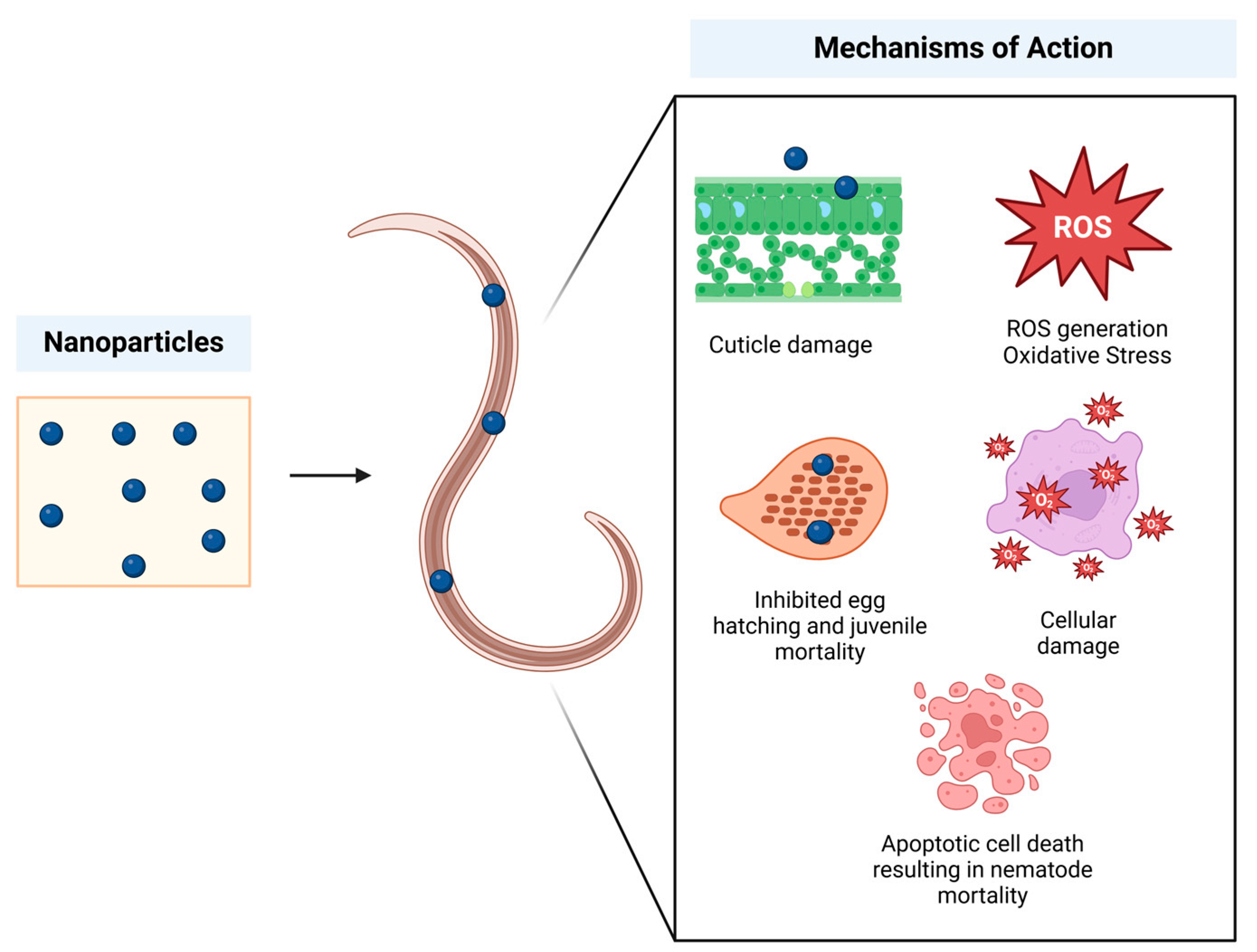 Sustainability 17 04152 g003