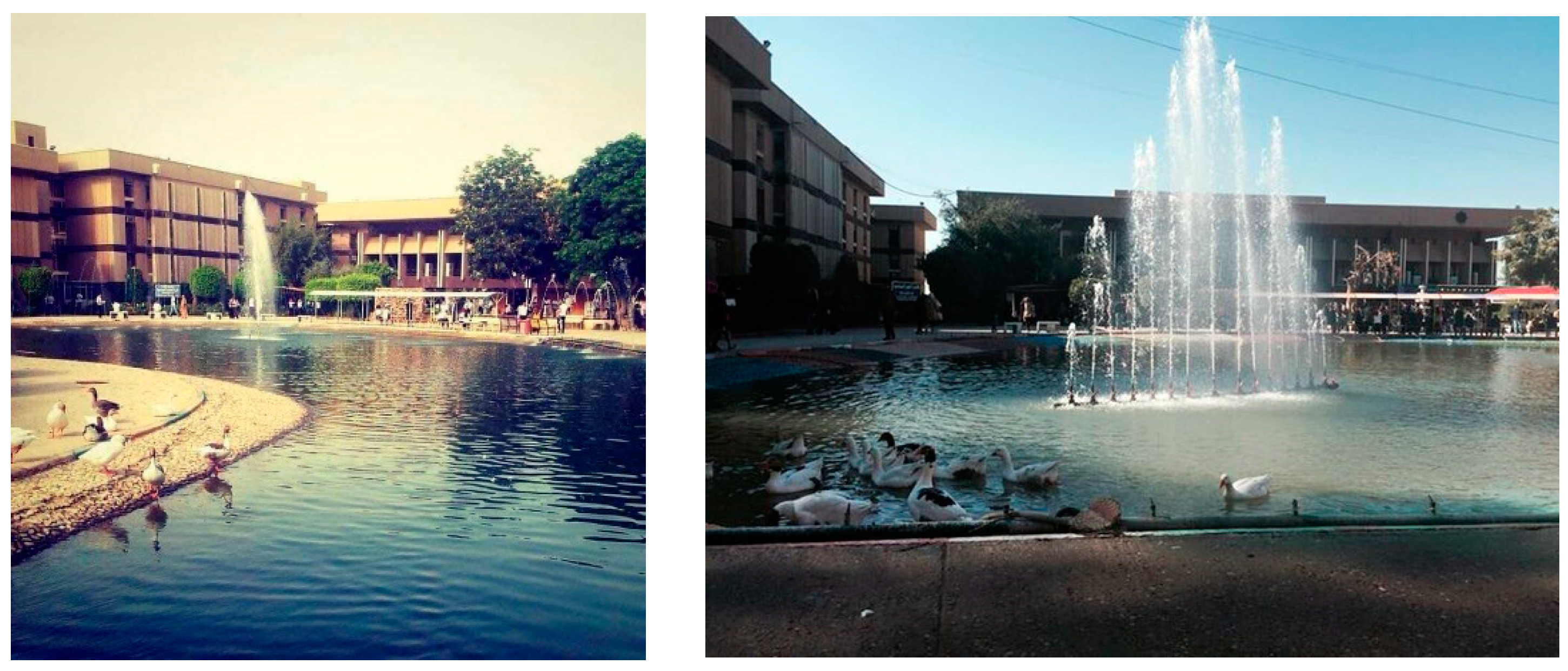 Sustainability 17 04154 g012 Sustainability 17 04154 g012