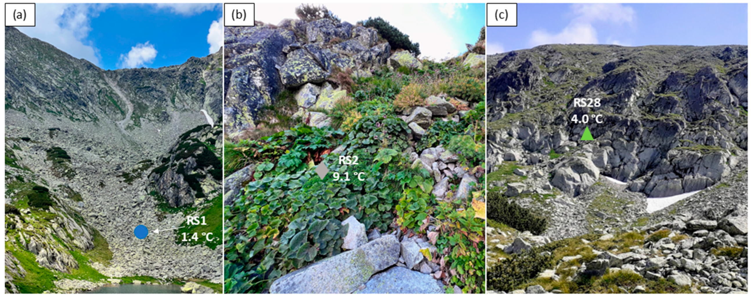 Sustainability 17 04182 g002
