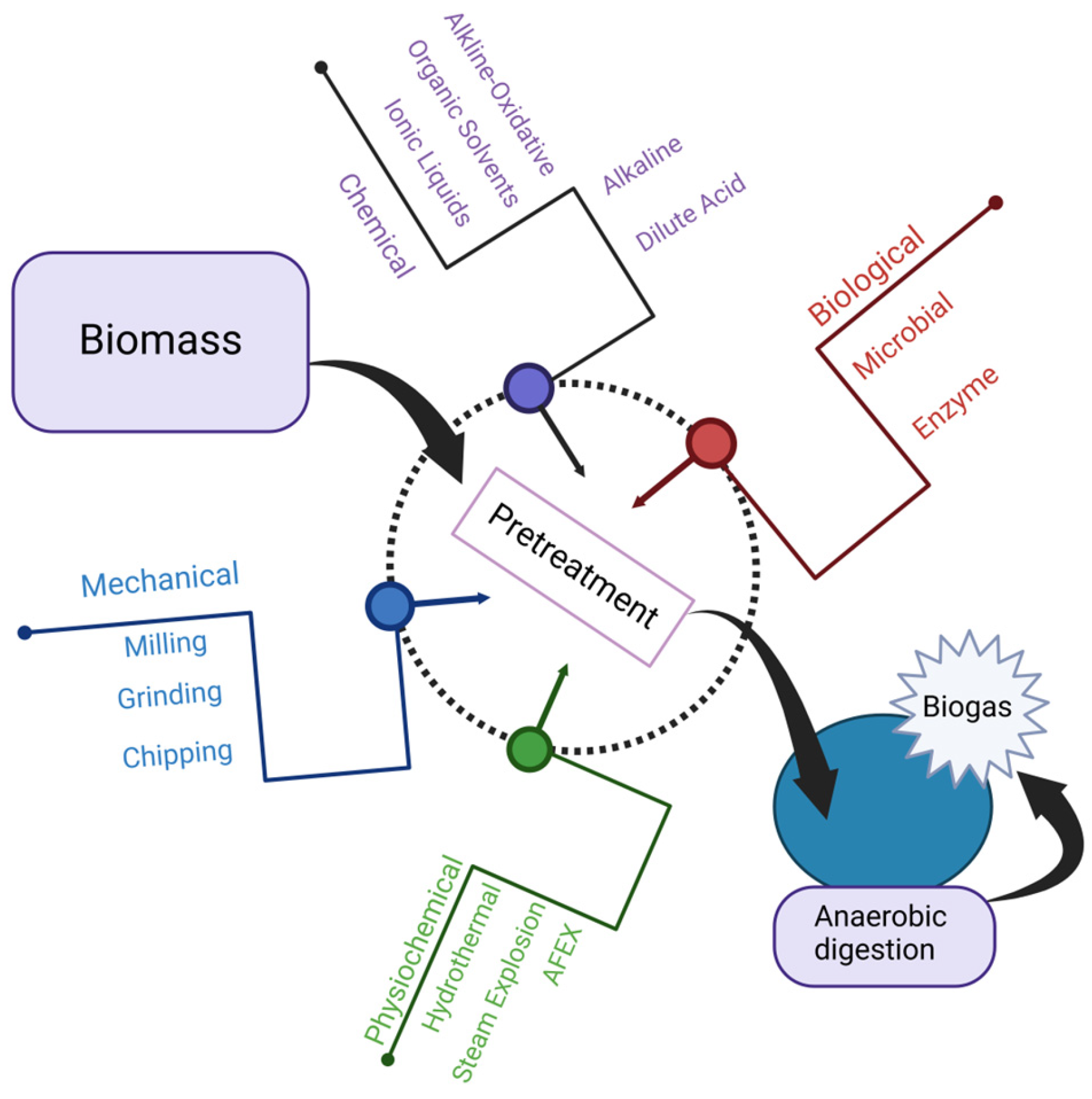 Microbial Degradation of Lignocellulose for Sustainable