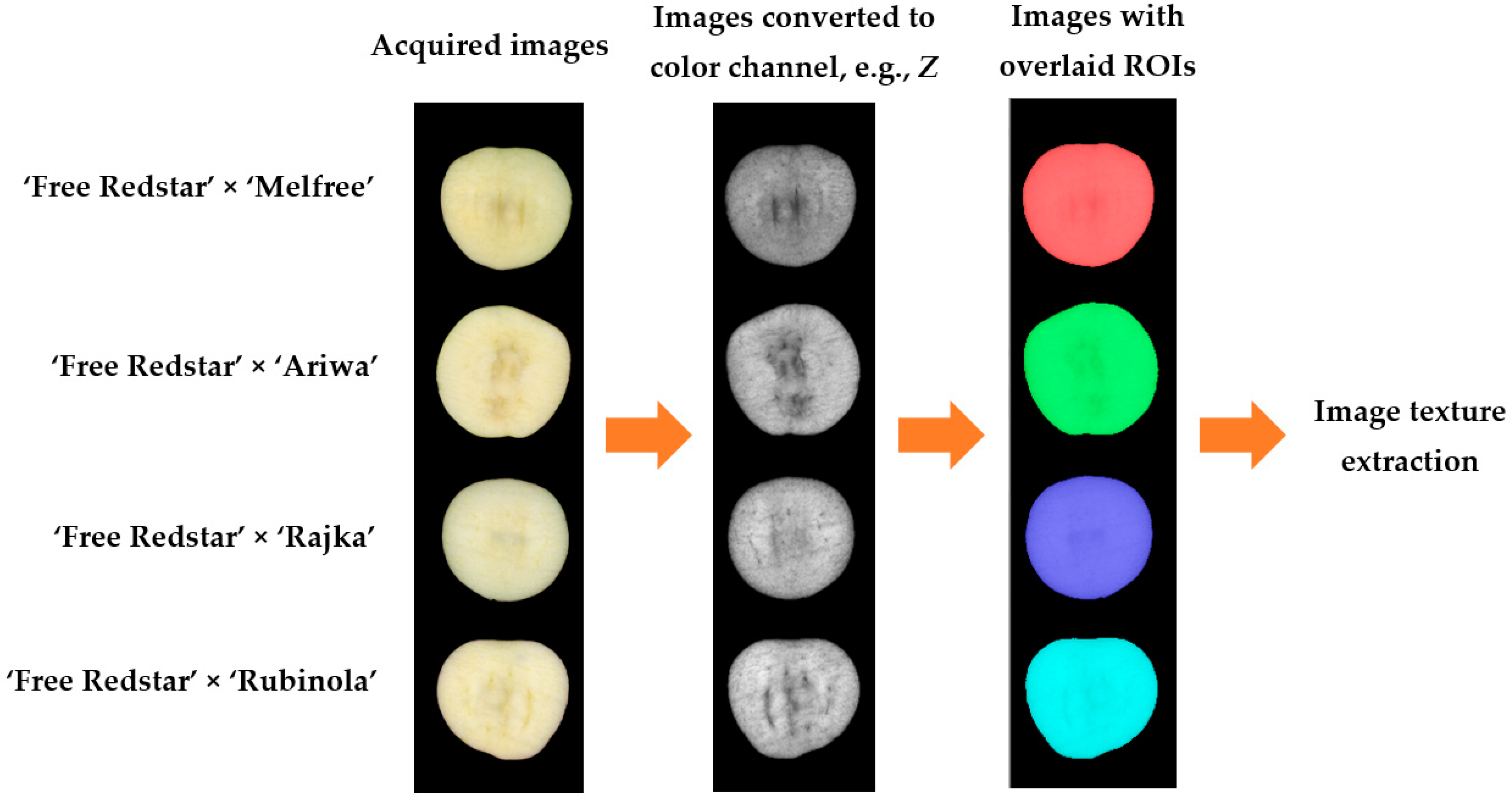 Sustainability 17 04317 g002