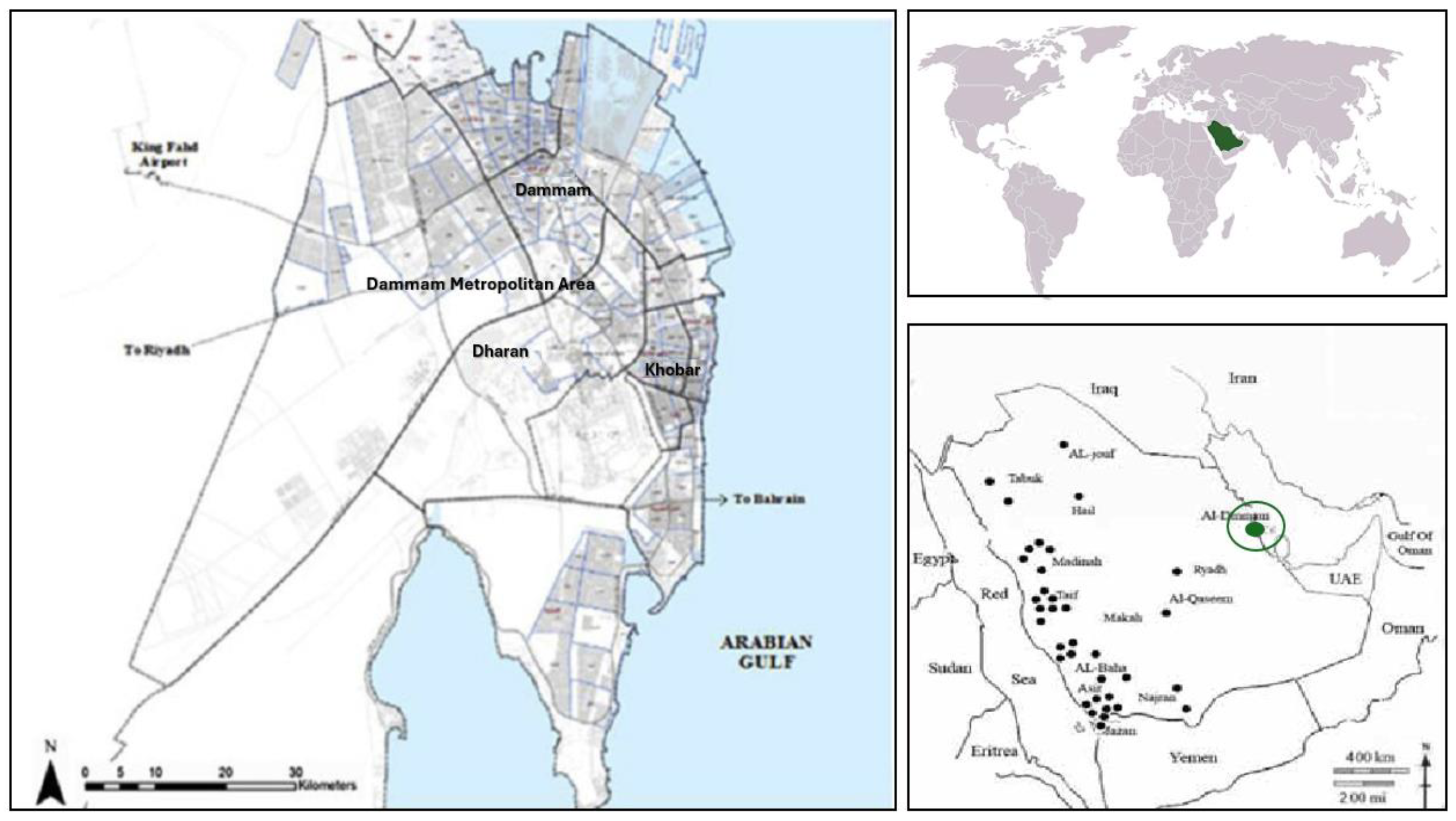 Sustainability 17 04323 g001