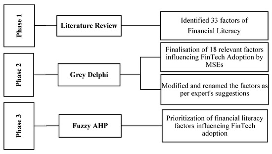 Assessing the Role of Financial Literacy in FinTech Adoption by MSEs ...