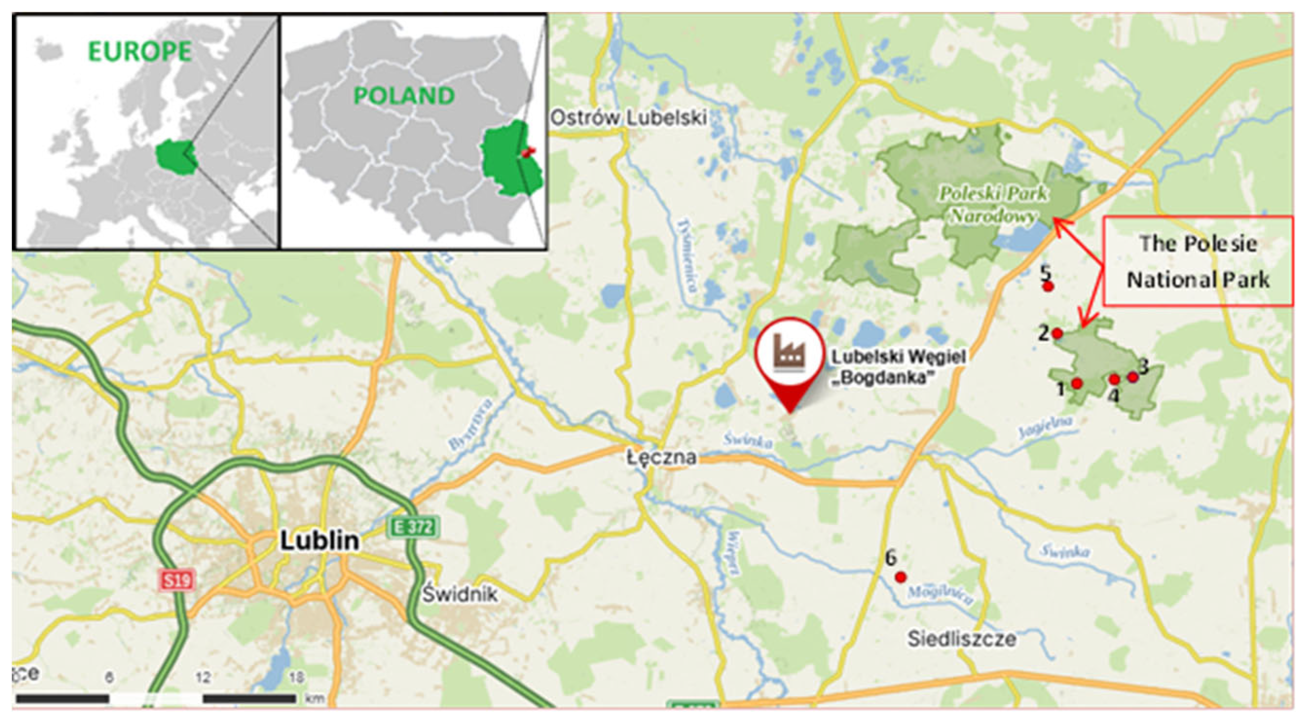 Sustainability 17 04343 g001