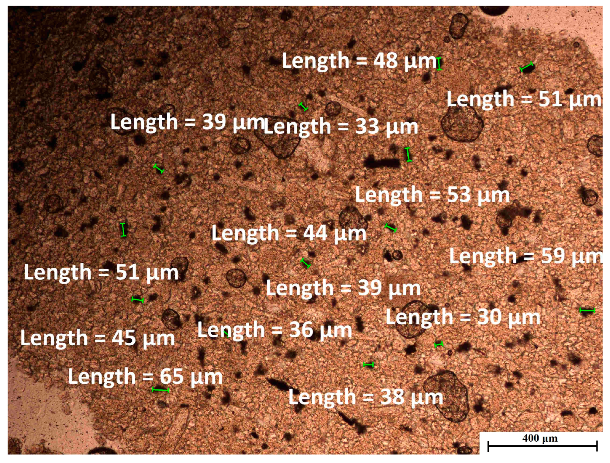 Sustainability 17 04359 g024