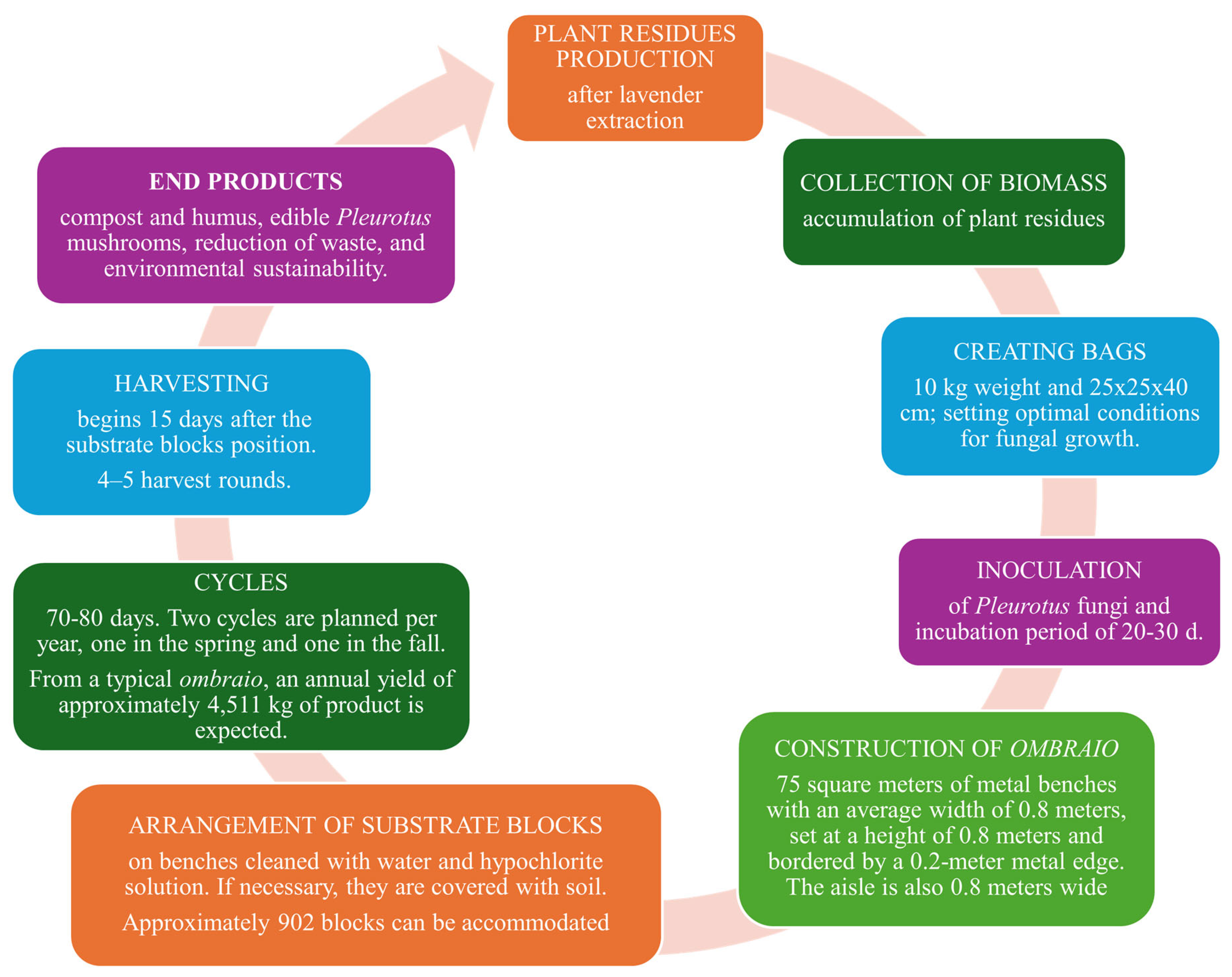 Sustainability 17 04410 g001