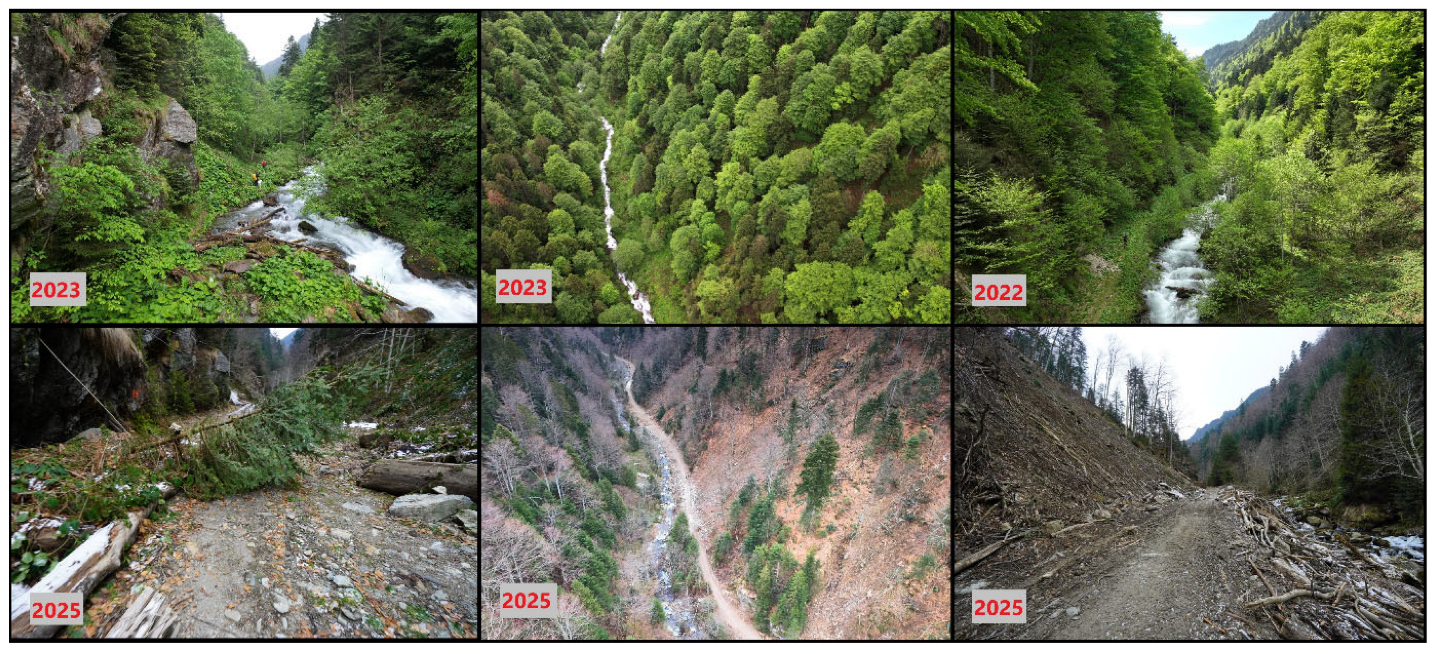 Sustainability 17 04413 g004