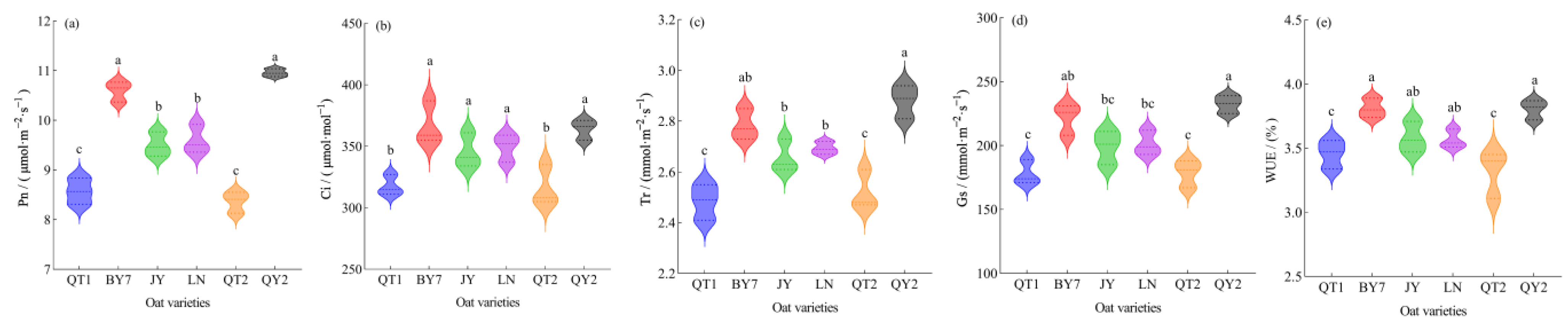 Sustainability 17 04444 g003