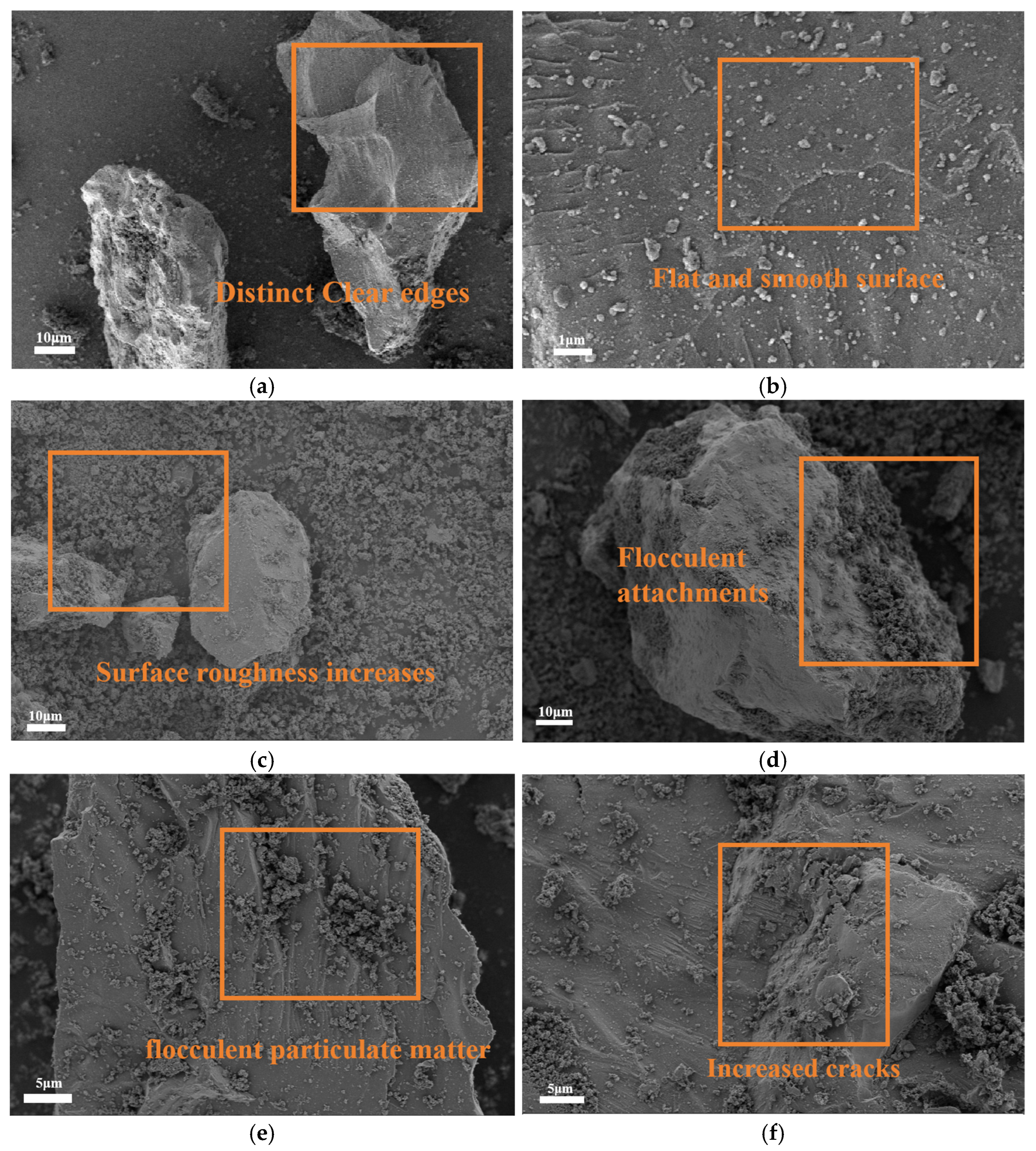 Sustainability 17 04445 g002a