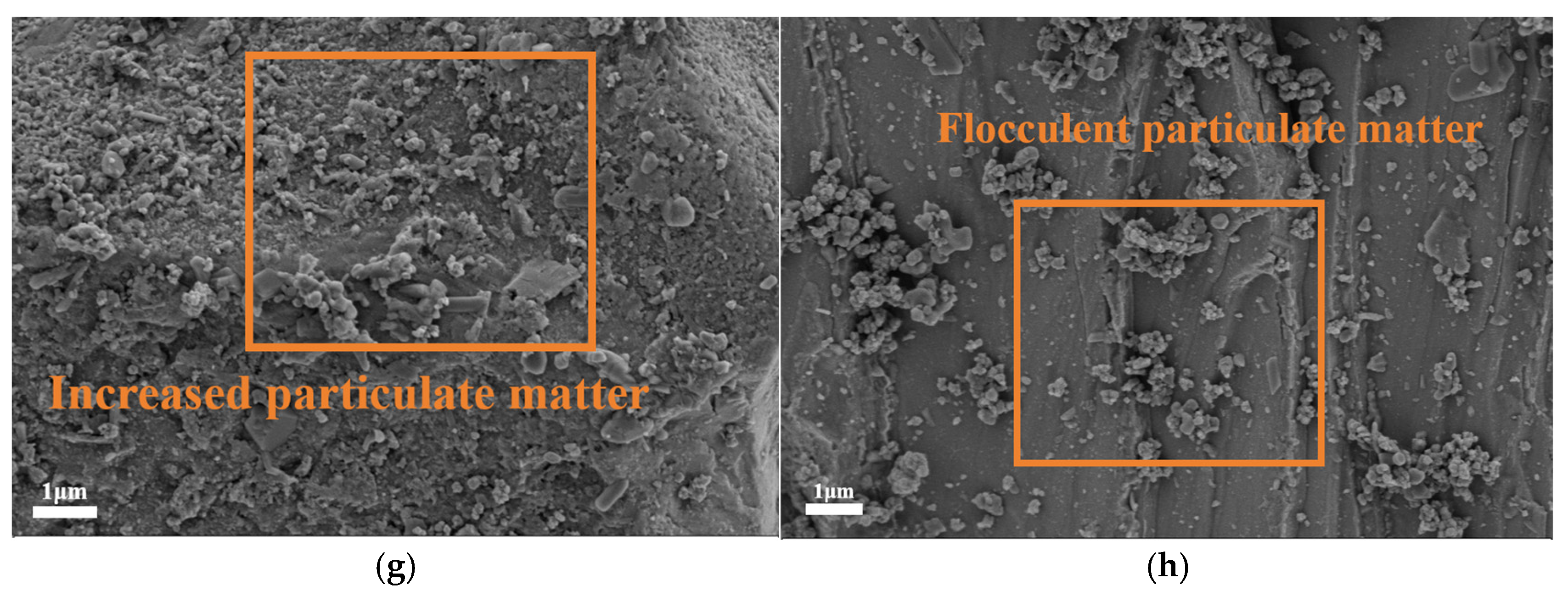 Sustainability 17 04445 g002b