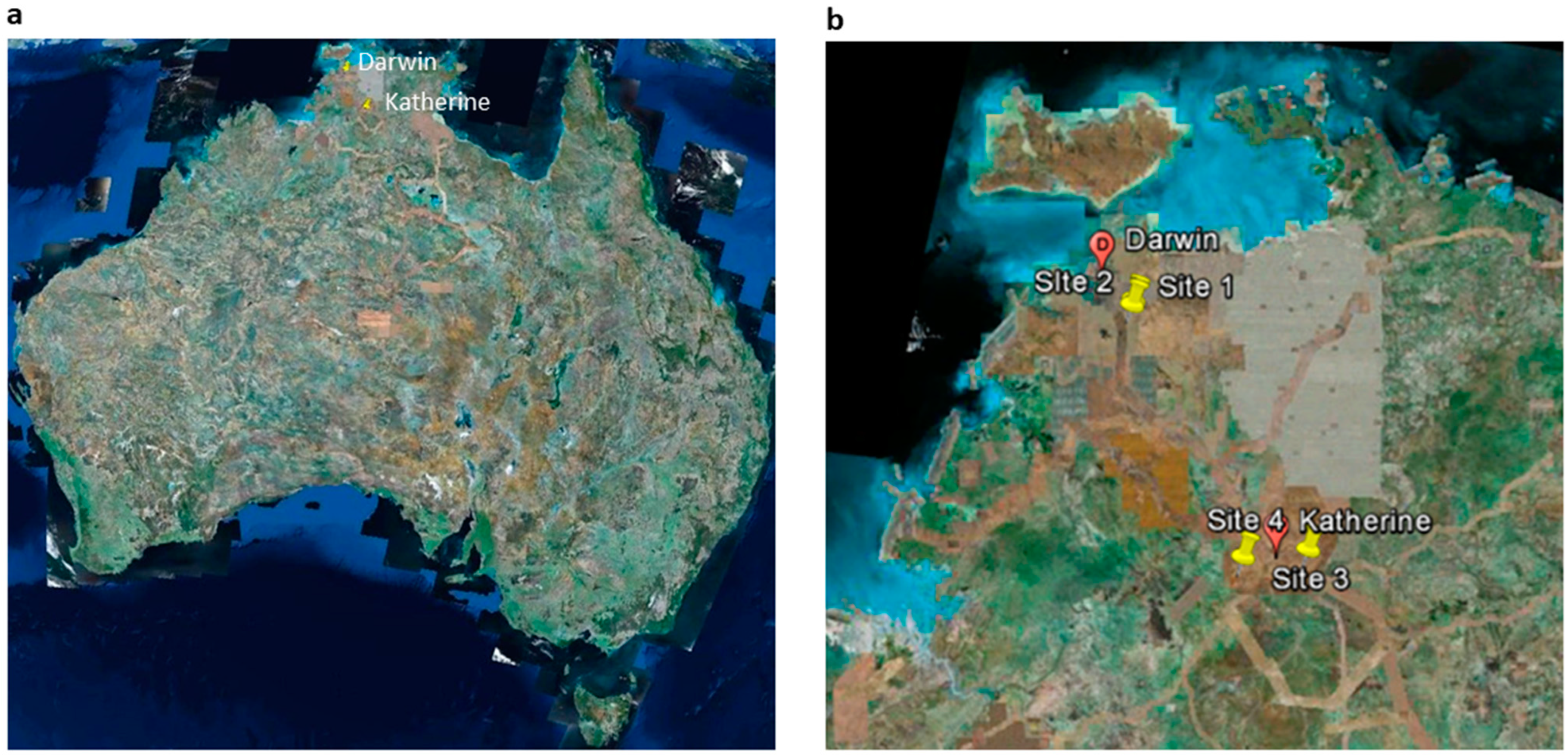 Sustainability 17 04452 g001