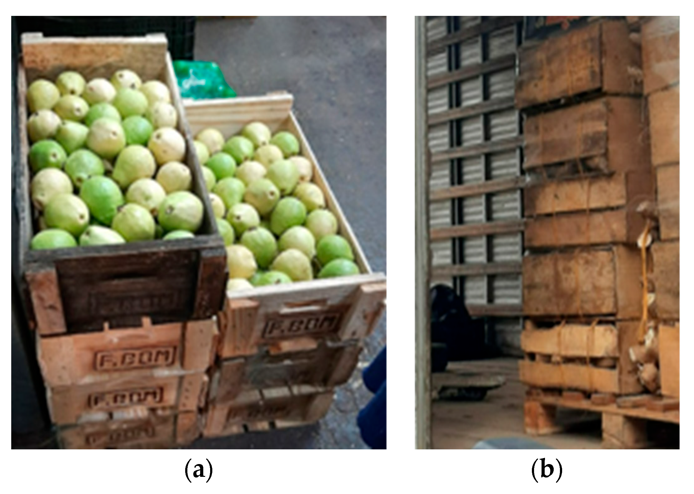 Sustainability 17 04489 g004