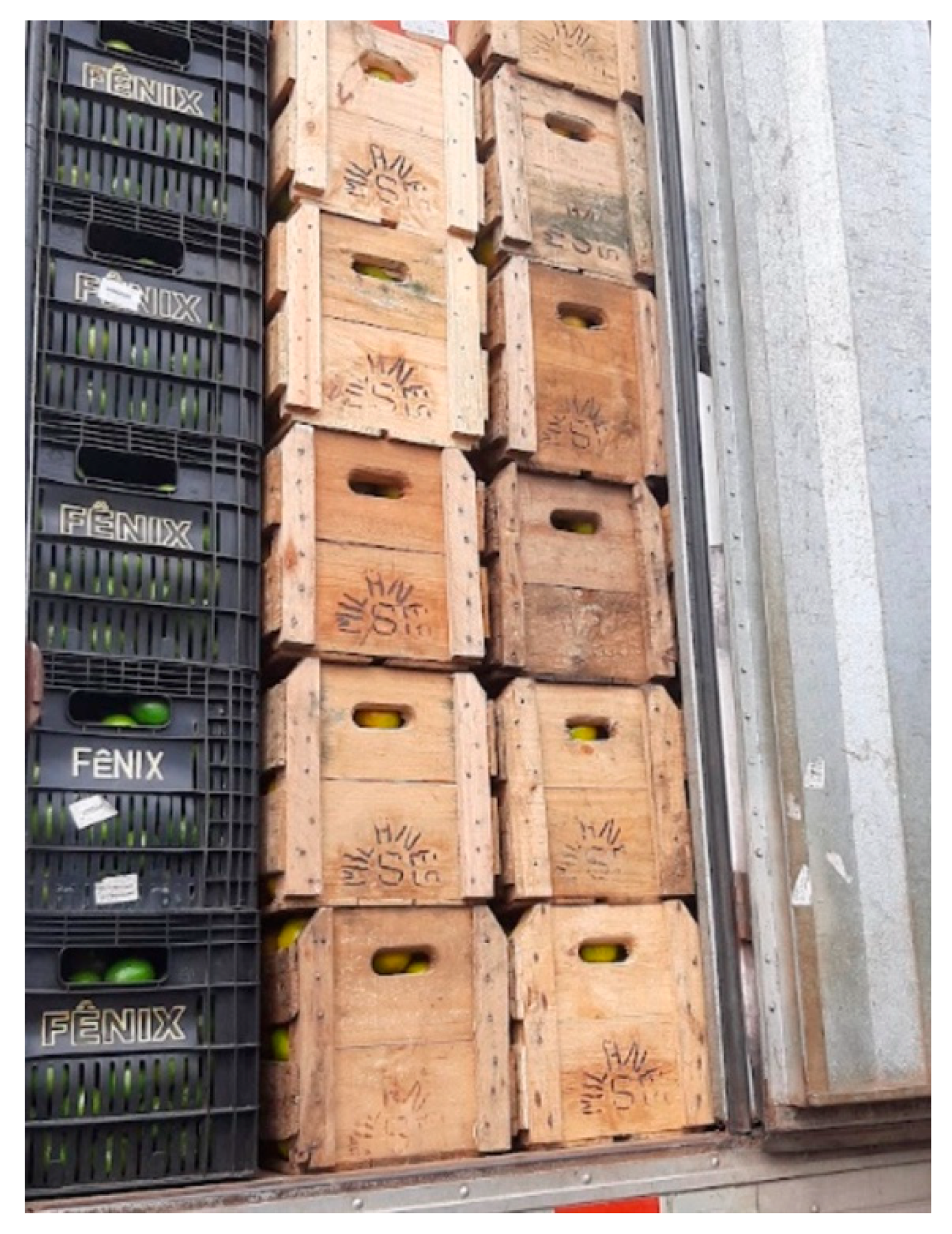 Sustainability 17 04489 g007