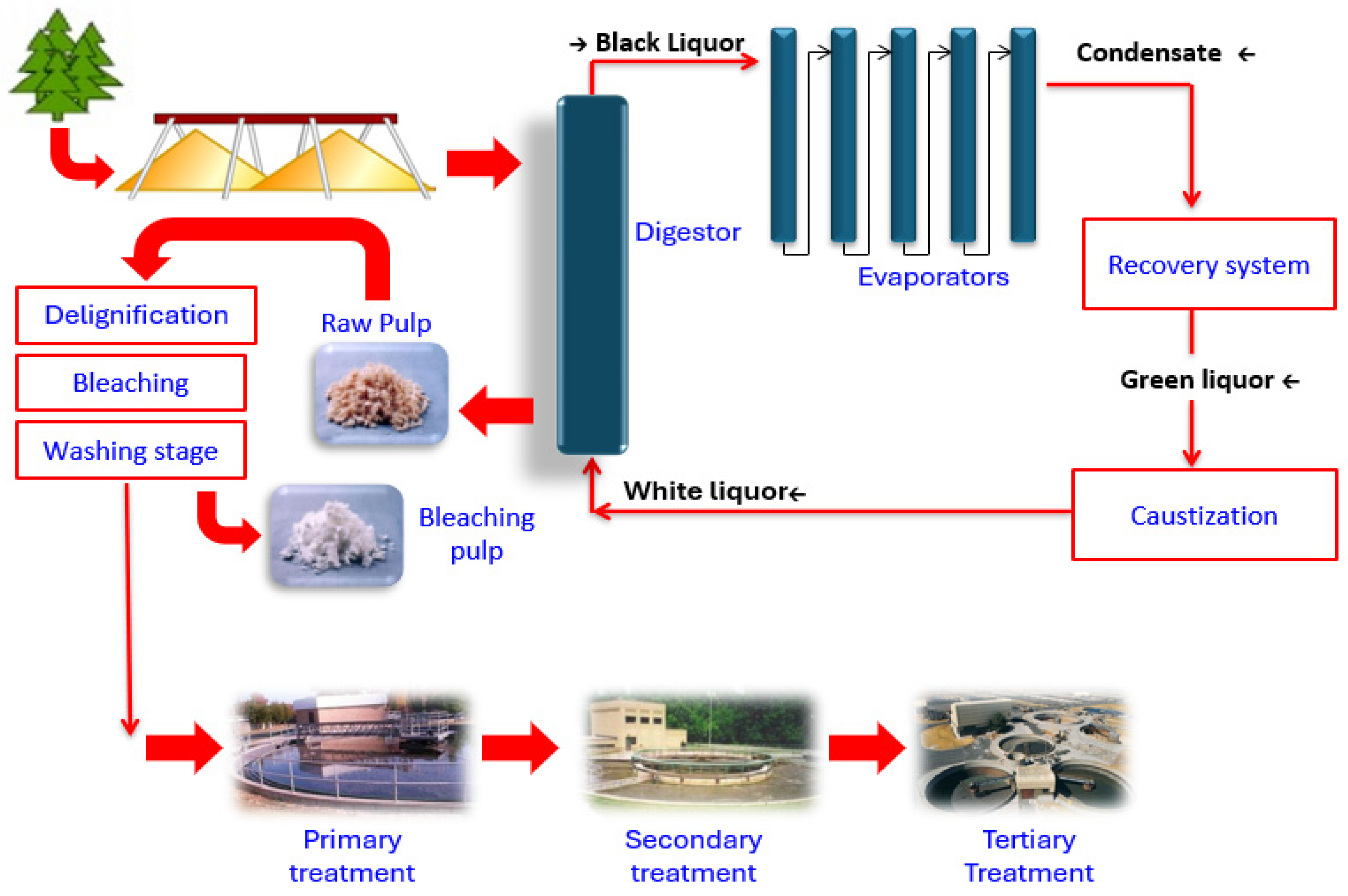 Sustainability 17 04494 g001 Sustainability 17 04494 g001