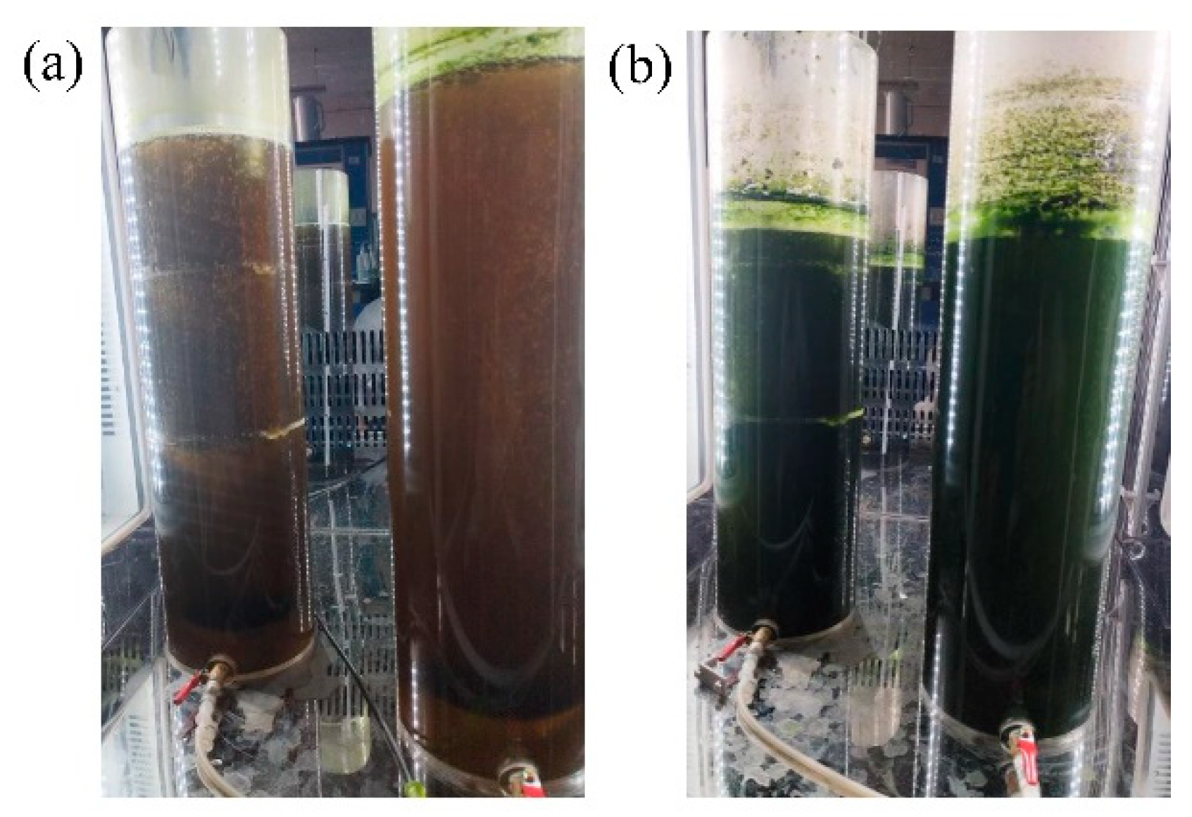 Sustainability 17 04511 g008