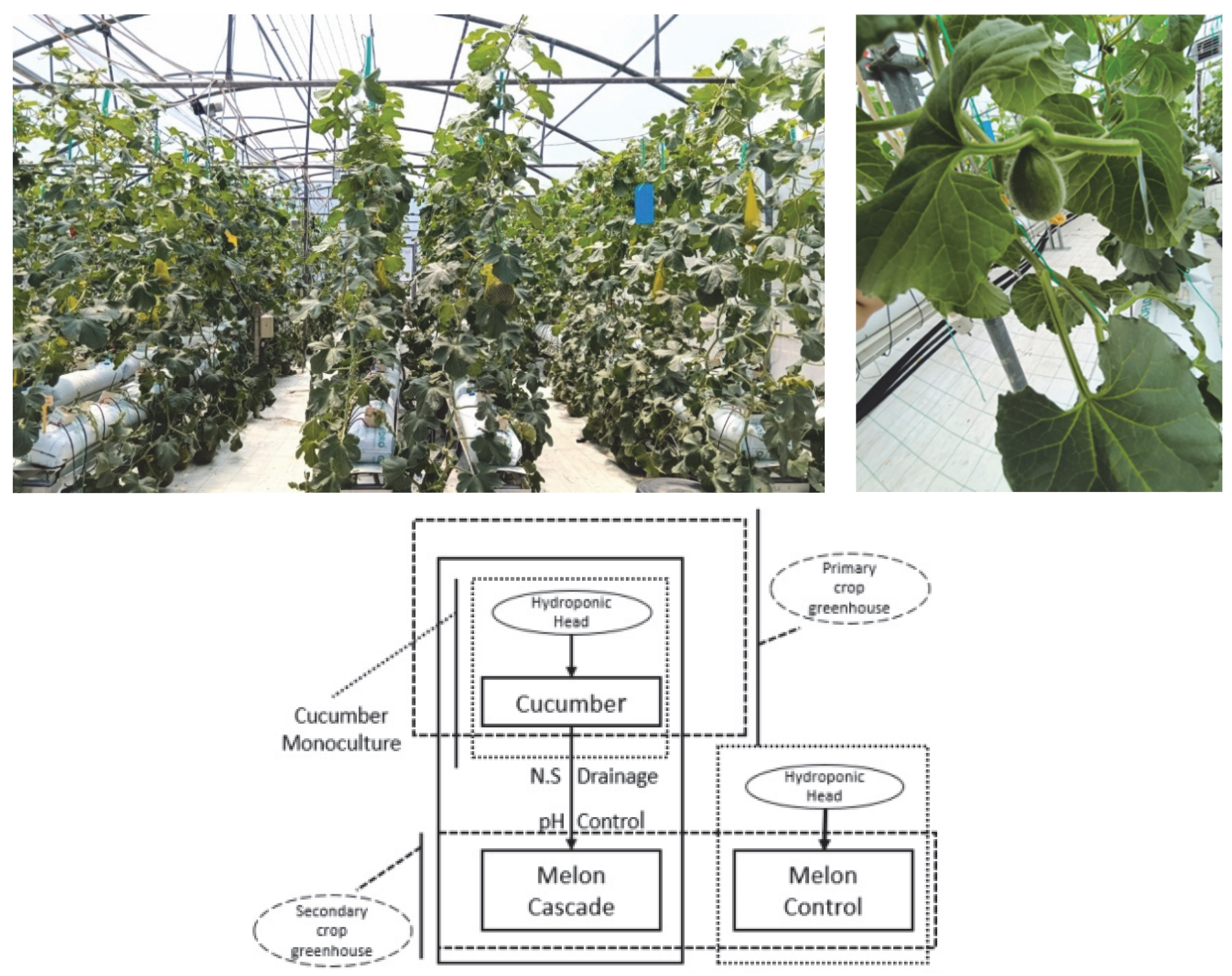 Sustainability 17 04527 g001