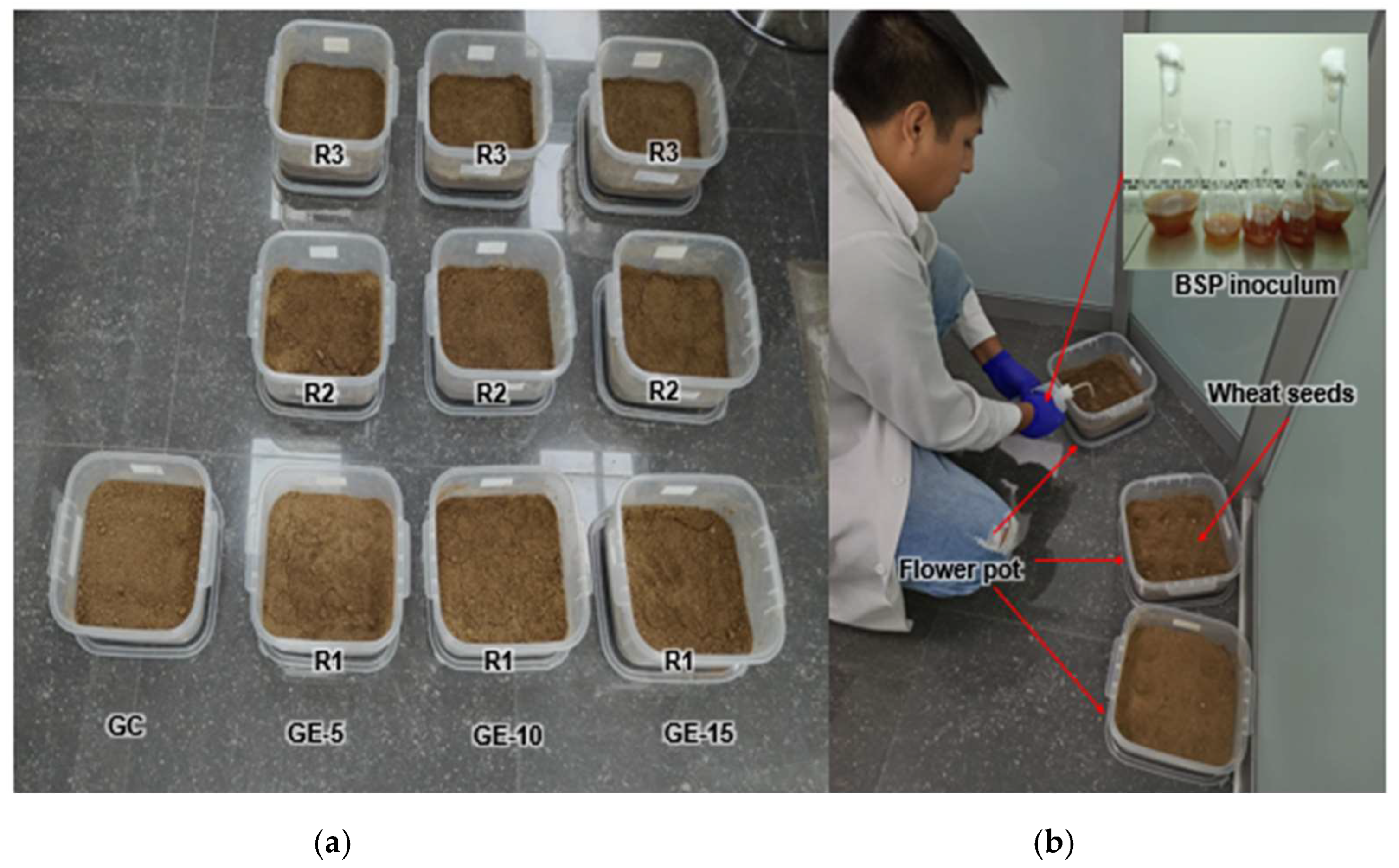 Sustainability 17 04545 g002