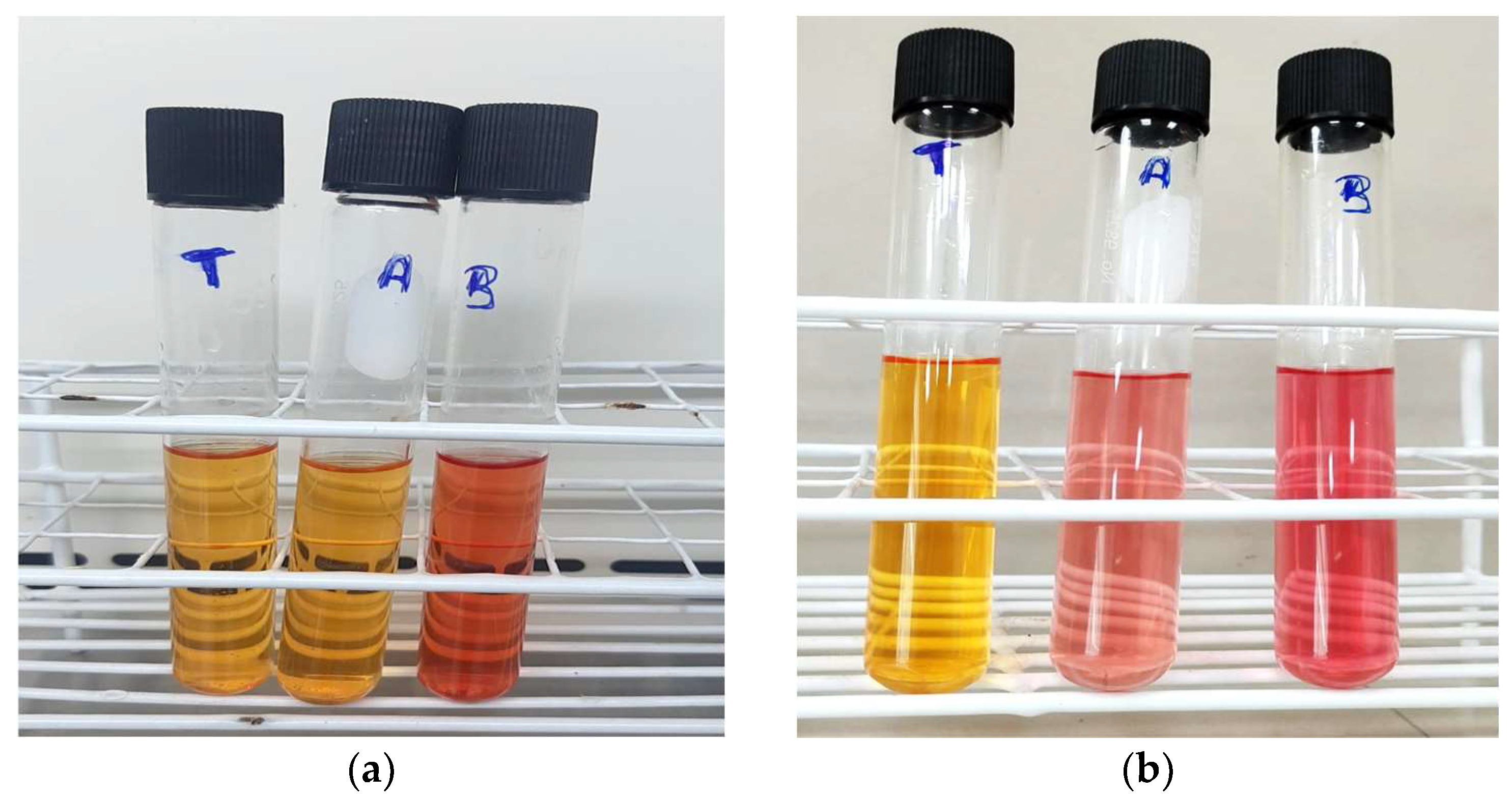 Sustainability 17 04545 g003