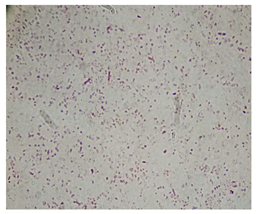 Sustainability 17 04545 i001