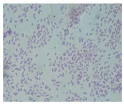 Sustainability 17 04545 i002