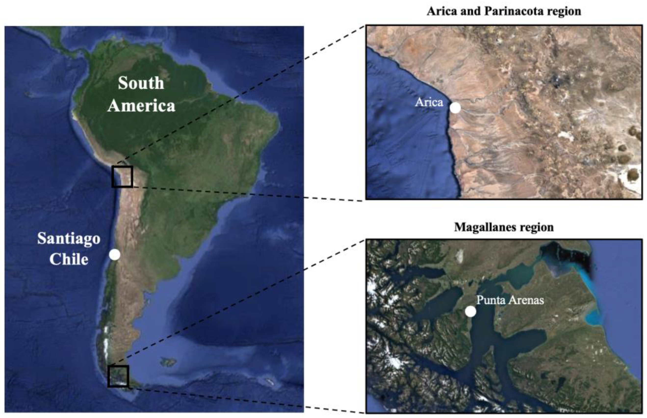 Sustainability 17 04553 g001