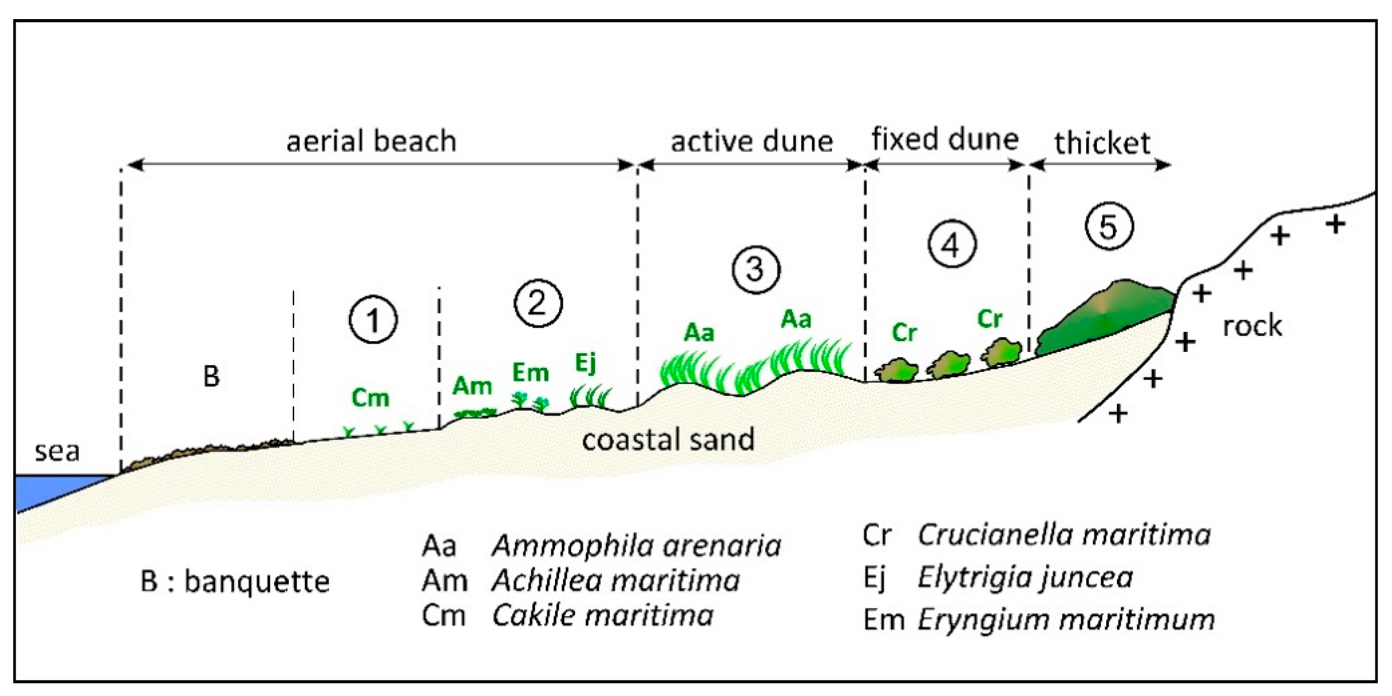 Sustainability 17 04556 g004