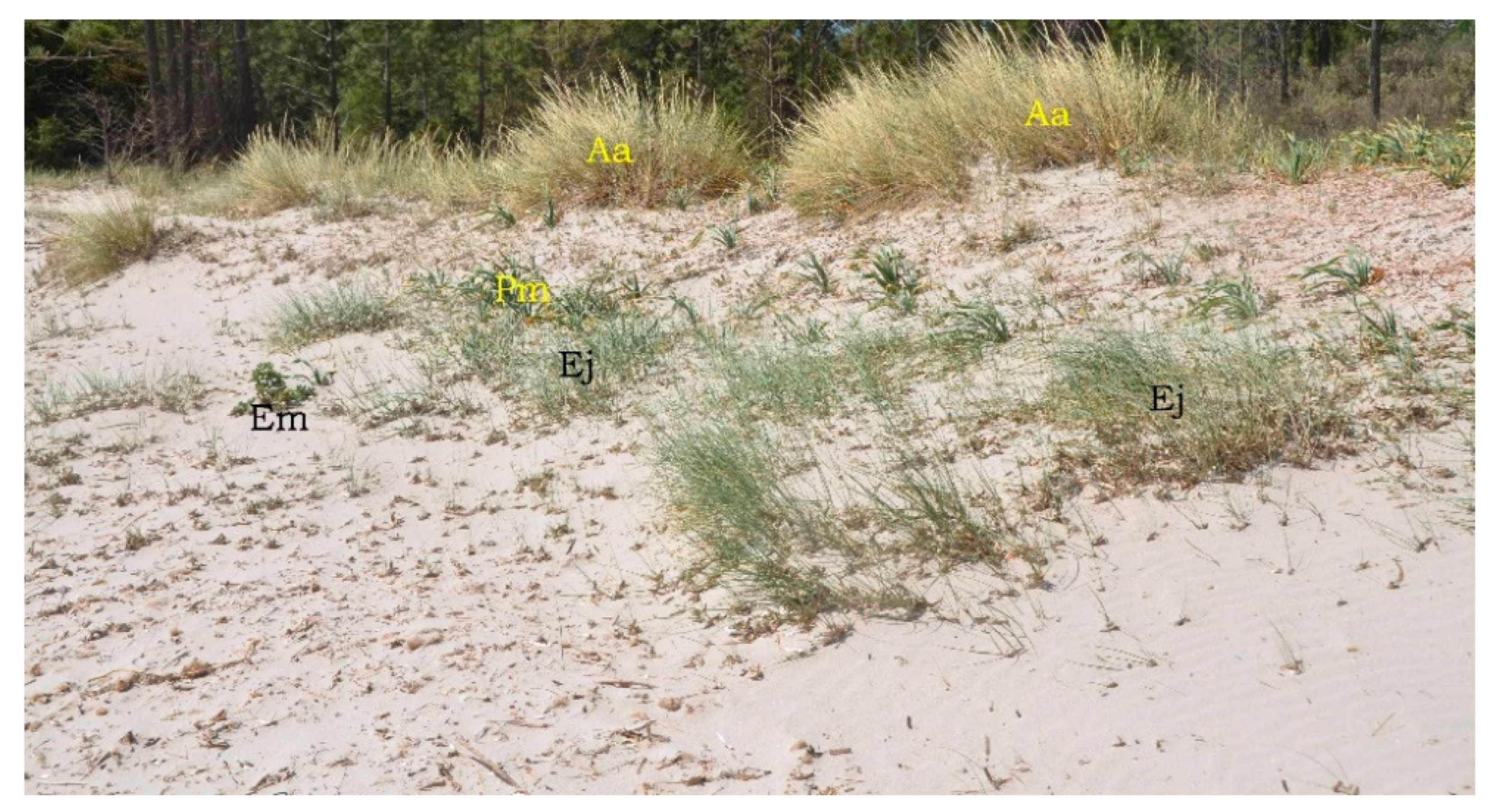 Sustainability 17 04556 g005