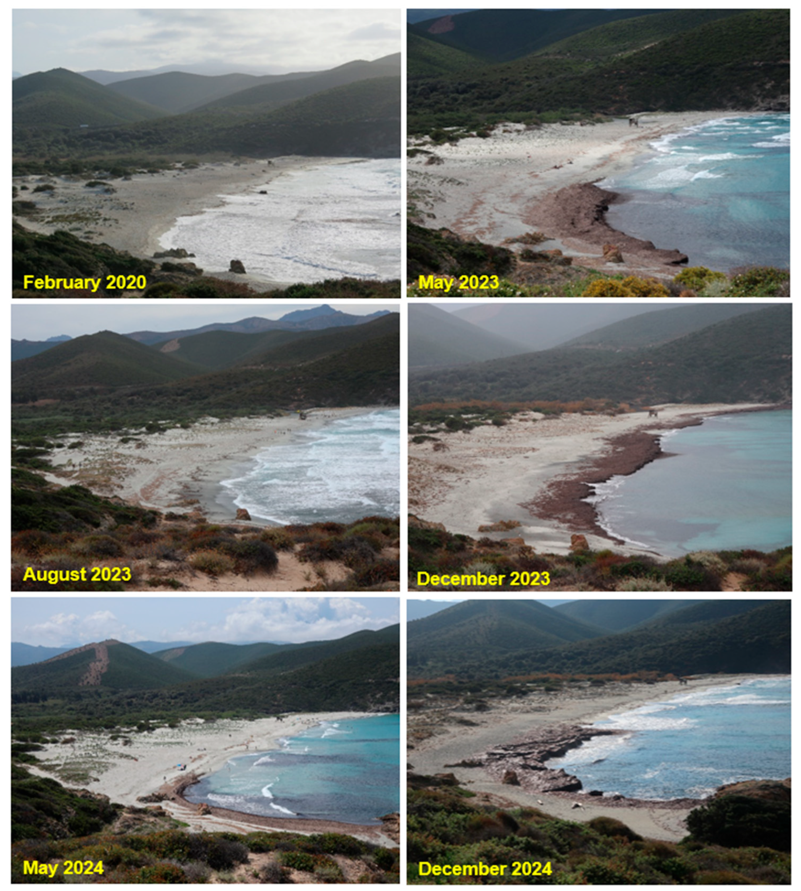 Sustainability 17 04556 g007