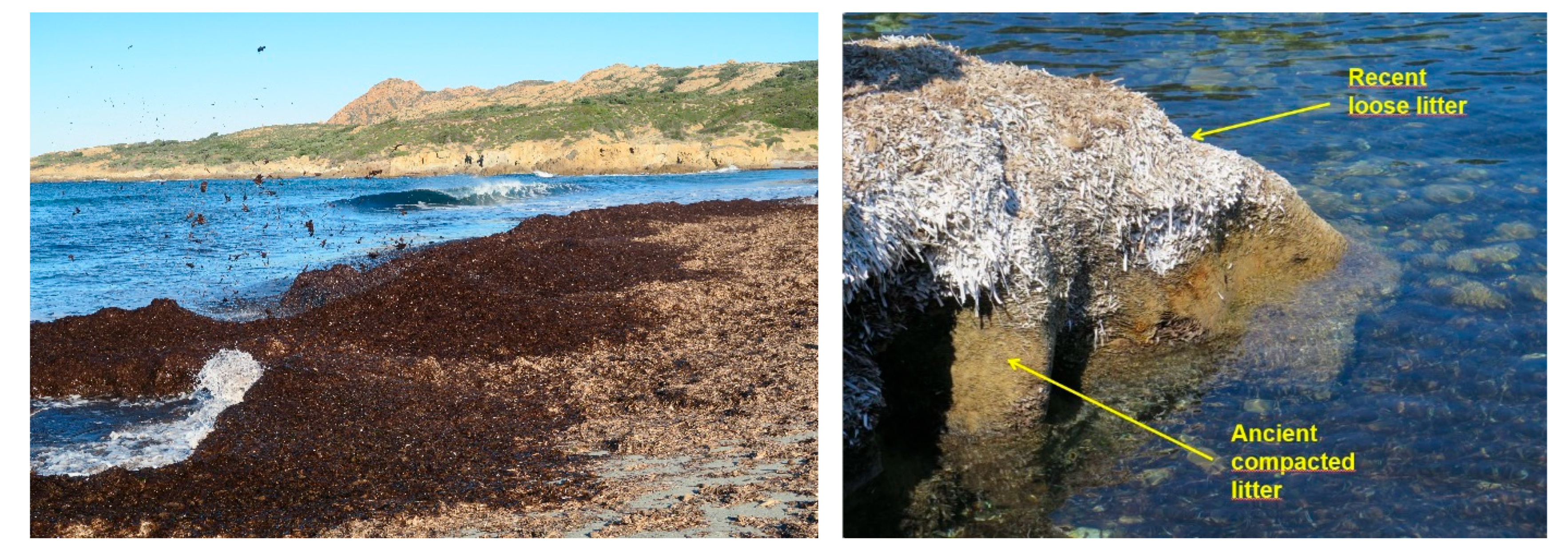 Sustainability 17 04556 g008a